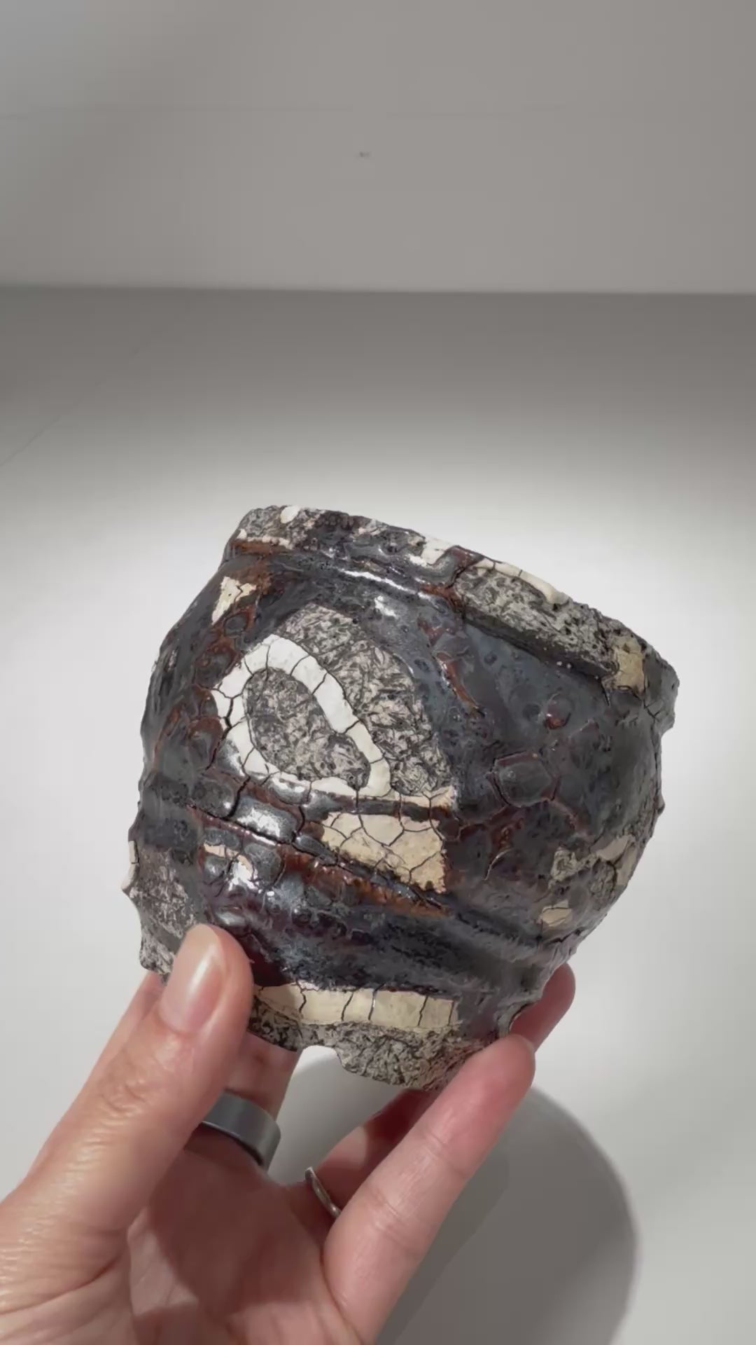 松井邦明 /  蔓  / mk2_kz05_xs / 約 8.7m / 植木鉢