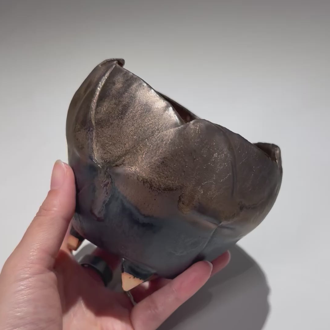 NAOTTERY / Jupiter /  nt3_jp10_s /  約 φ10cm /  植木鉢