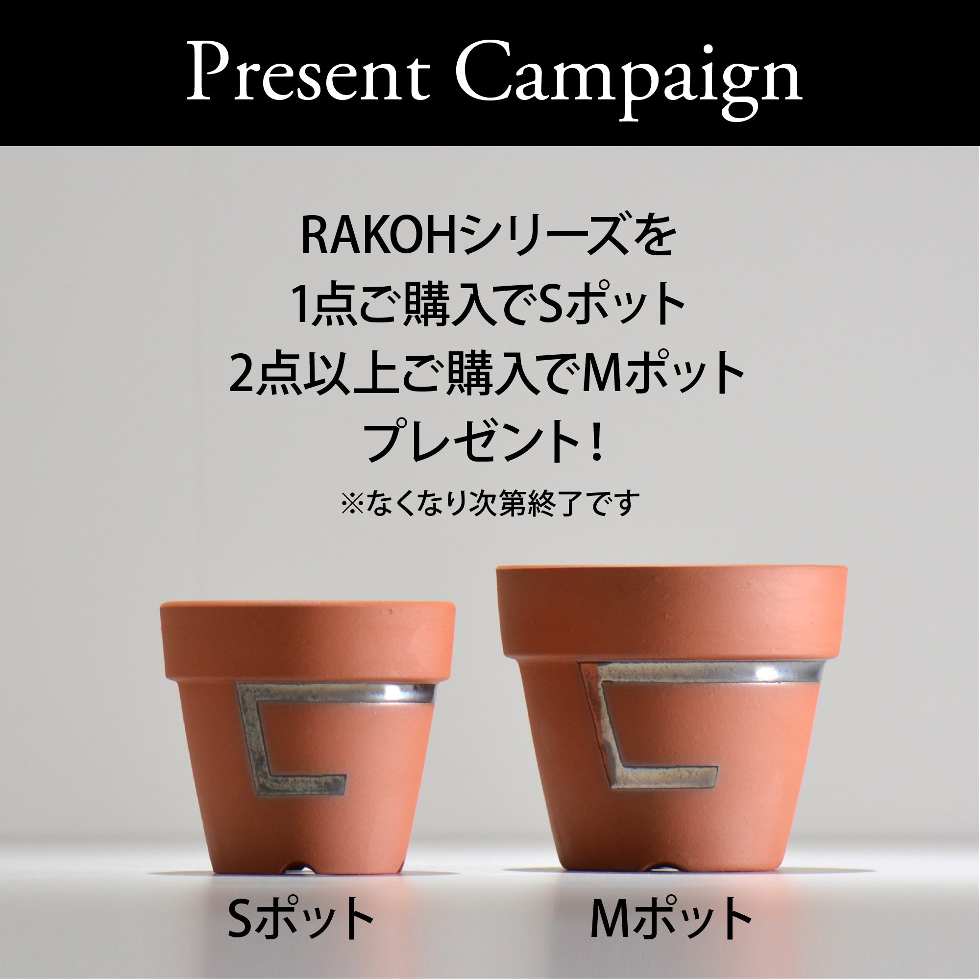 GLOWERS / 螺煌 / RAKOH / rakoh02_nor2_s / 約φ10cm / 植木鉢