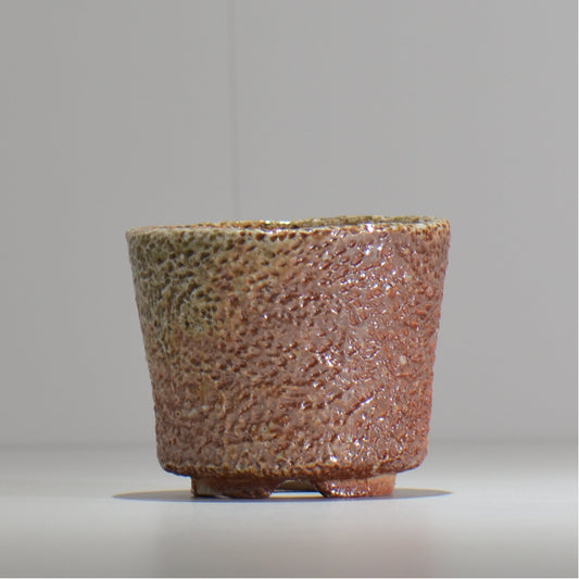 坂尾寛子 / 礁 / 約φ11cm  / sh_an02_s /  植木鉢