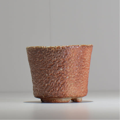 坂尾寛子 / 礁 / 約φ11cm  / sh_an02_s /  植木鉢