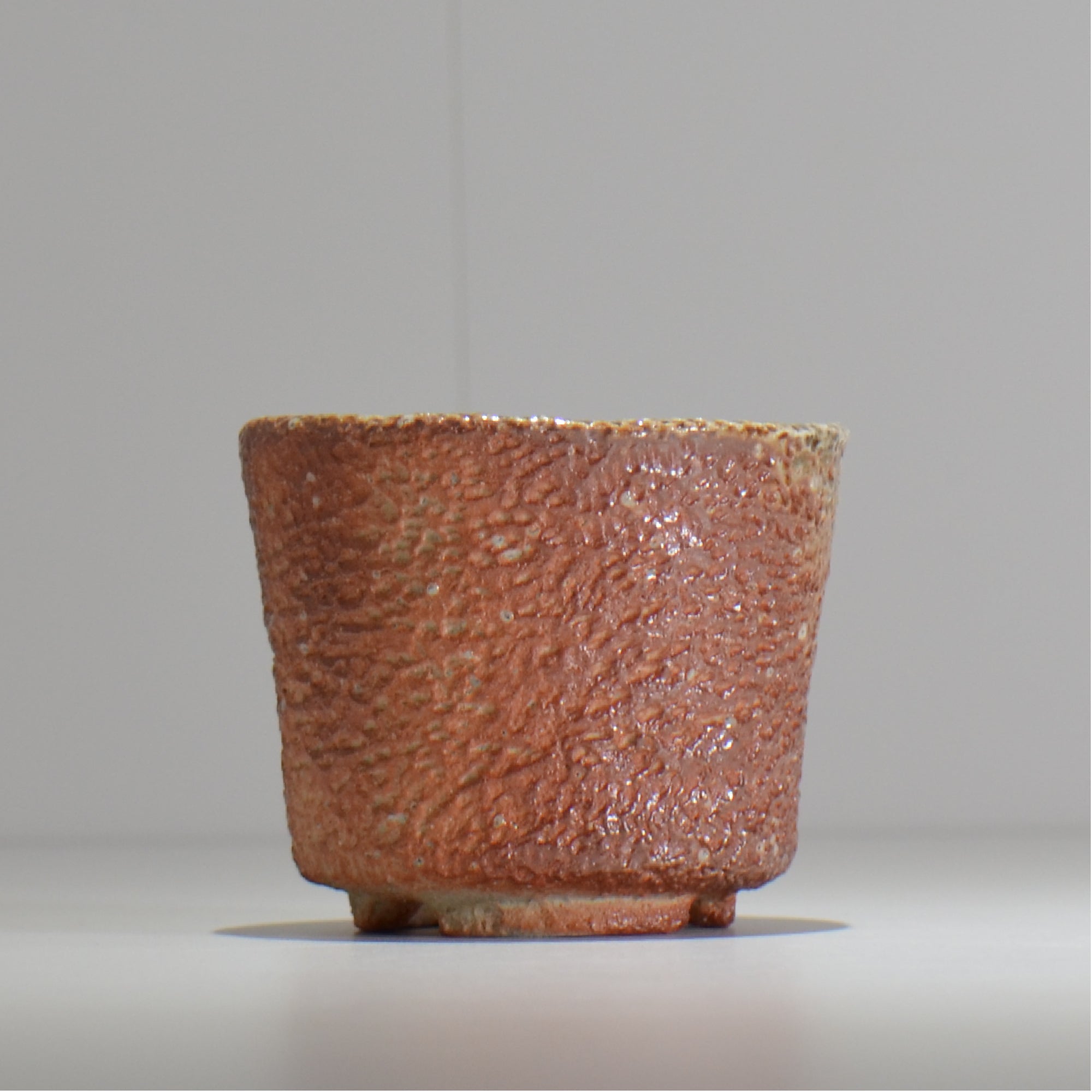 坂尾寛子 / 礁 / 約φ11cm  / sh_an02_s /  植木鉢