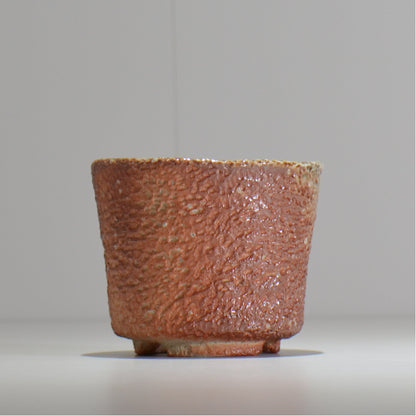 坂尾寛子 / 礁 / 約φ11cm  / sh_an02_s /  植木鉢