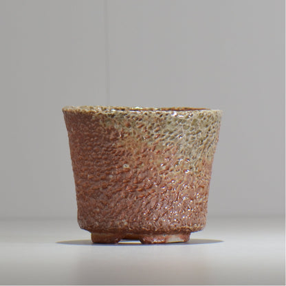 坂尾寛子 / 礁 / 約φ11cm  / sh_an02_s /  植木鉢