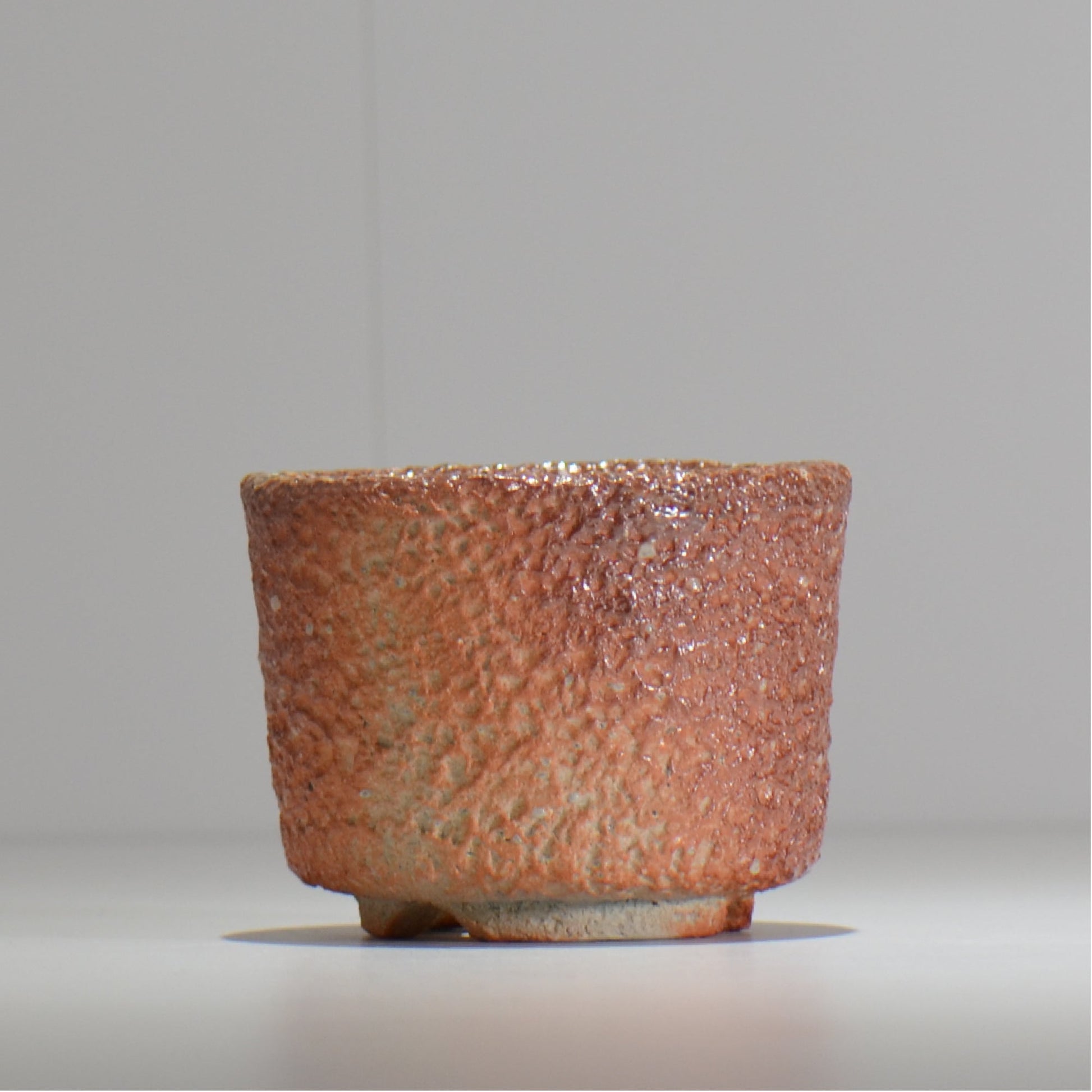 坂尾寛子 / 礁 / 約φ11cm  / sh_an03_s /  植木鉢