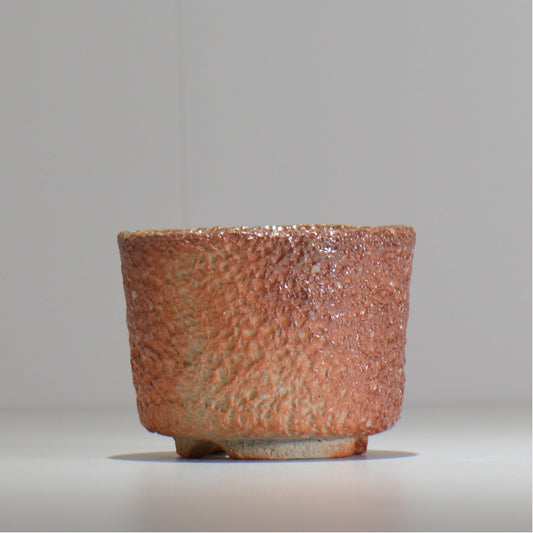 坂尾寛子 / 礁 / 約φ11cm  / sh_an03_s /  植木鉢