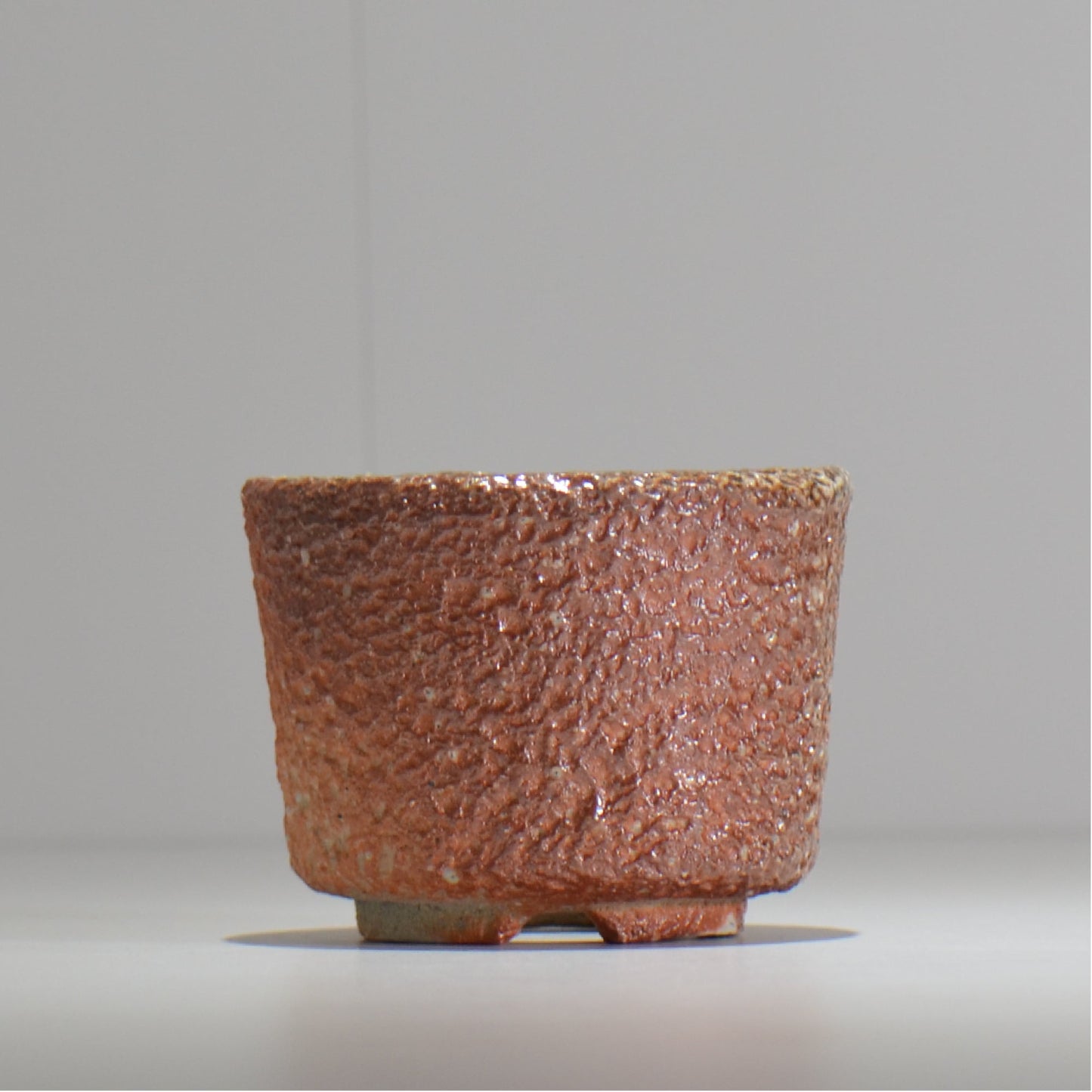 坂尾寛子 / 礁 / 約φ11cm  / sh_an03_s /  植木鉢