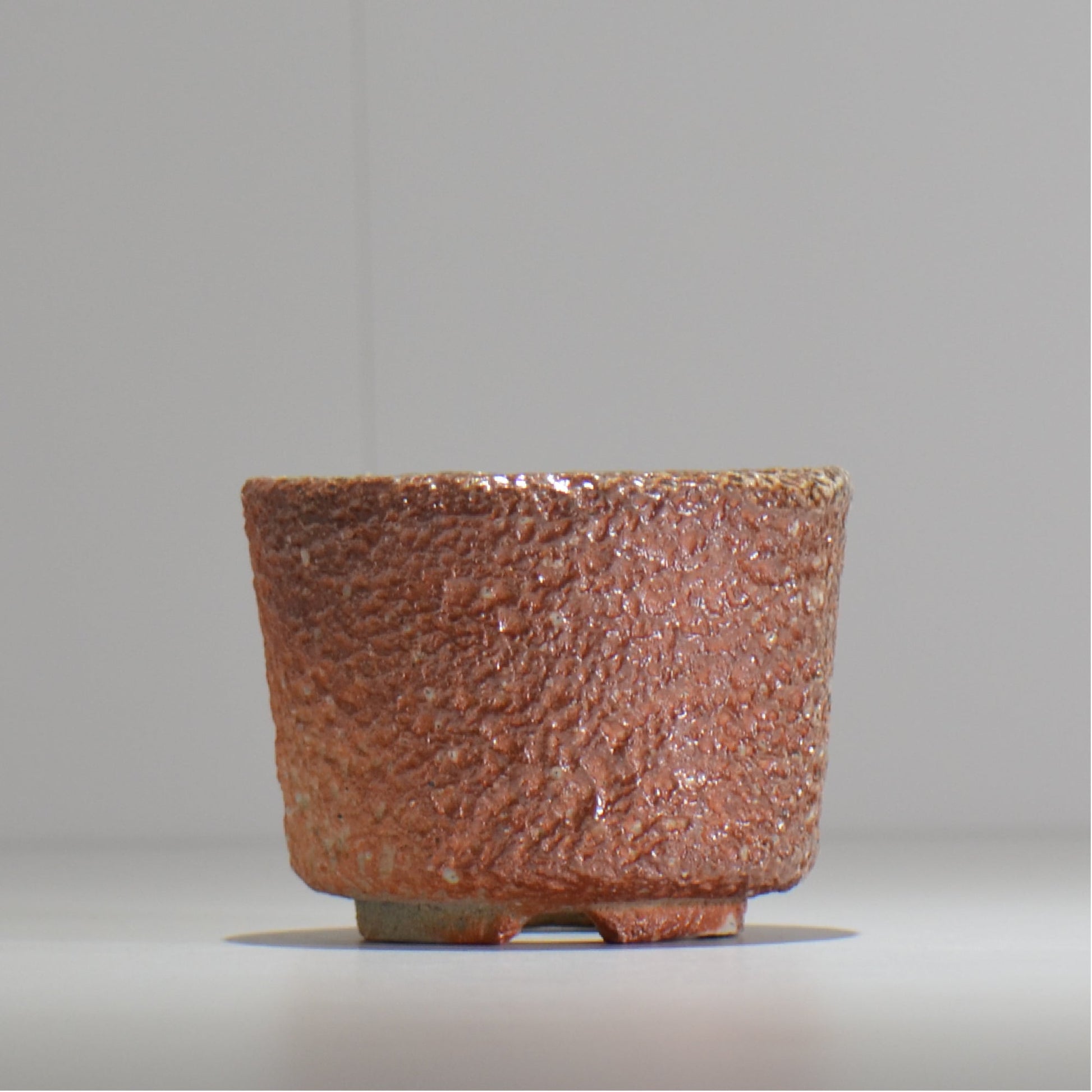 坂尾寛子 / 礁 / 約φ11cm  / sh_an03_s /  植木鉢