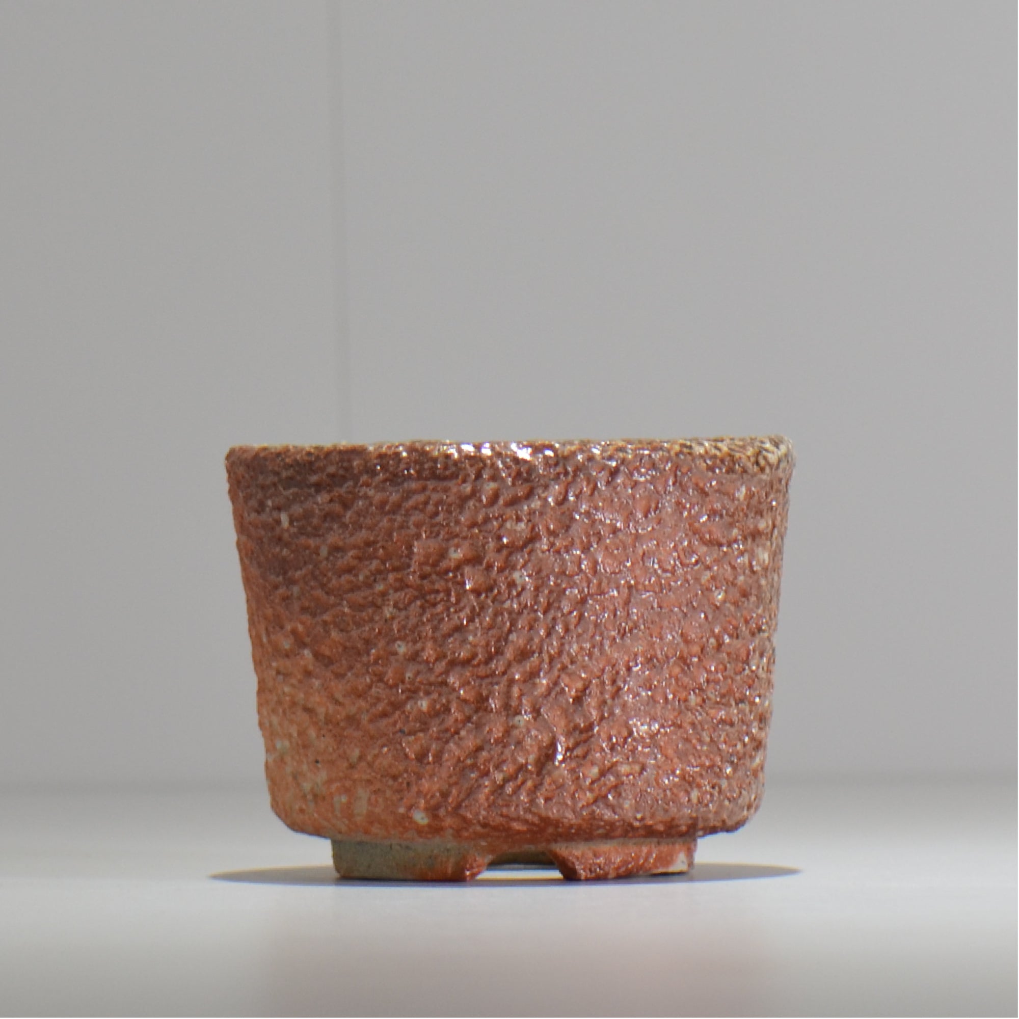 坂尾寛子 / 礁 / 約φ11cm  / sh_an03_s /  植木鉢