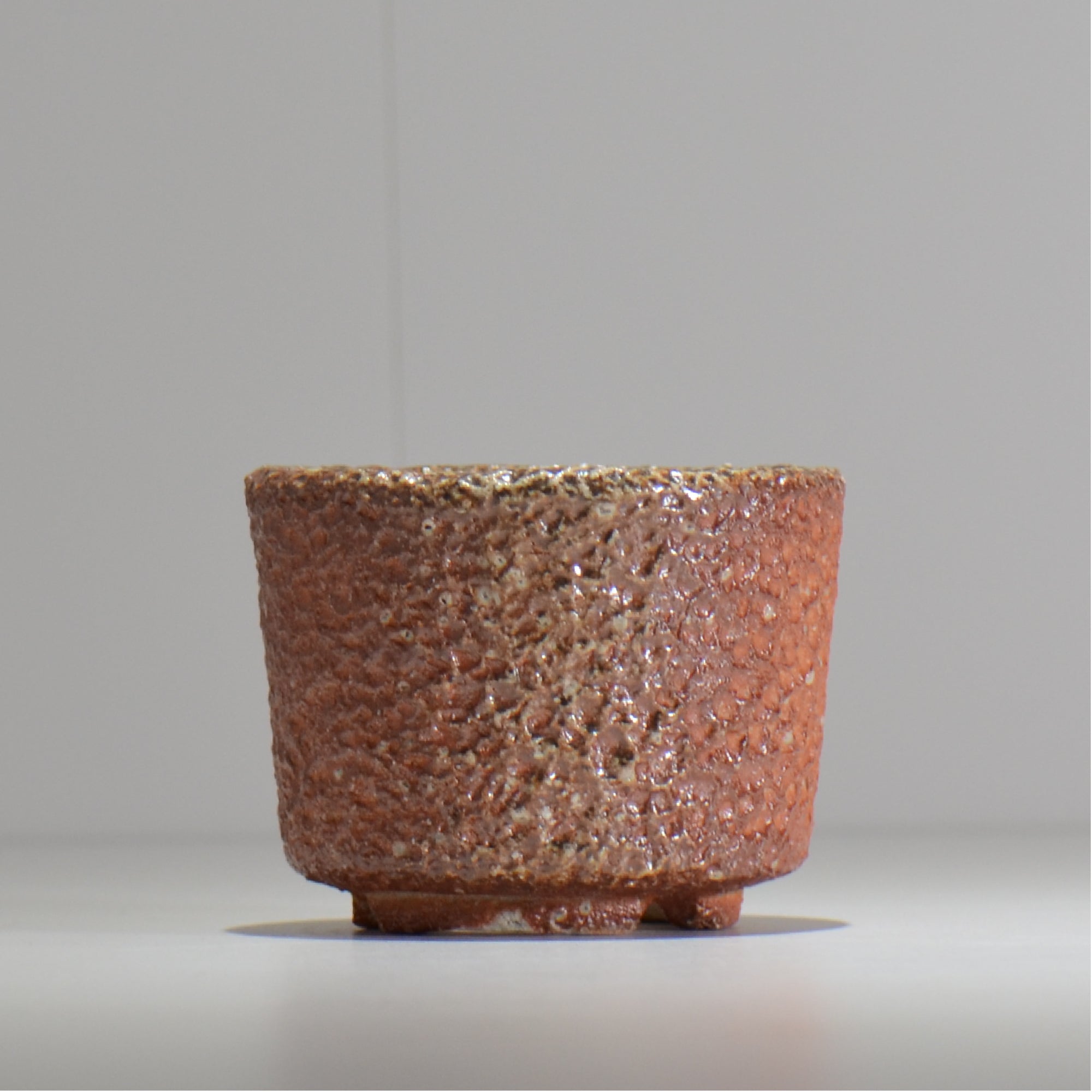 坂尾寛子 / 礁 / 約φ11cm  / sh_an03_s /  植木鉢