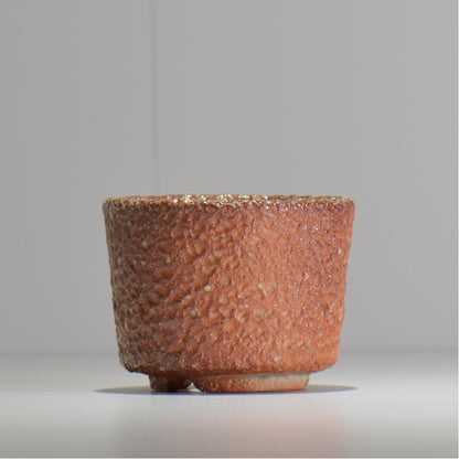 坂尾寛子 / 礁 / 約φ11cm  / sh_an03_s /  植木鉢