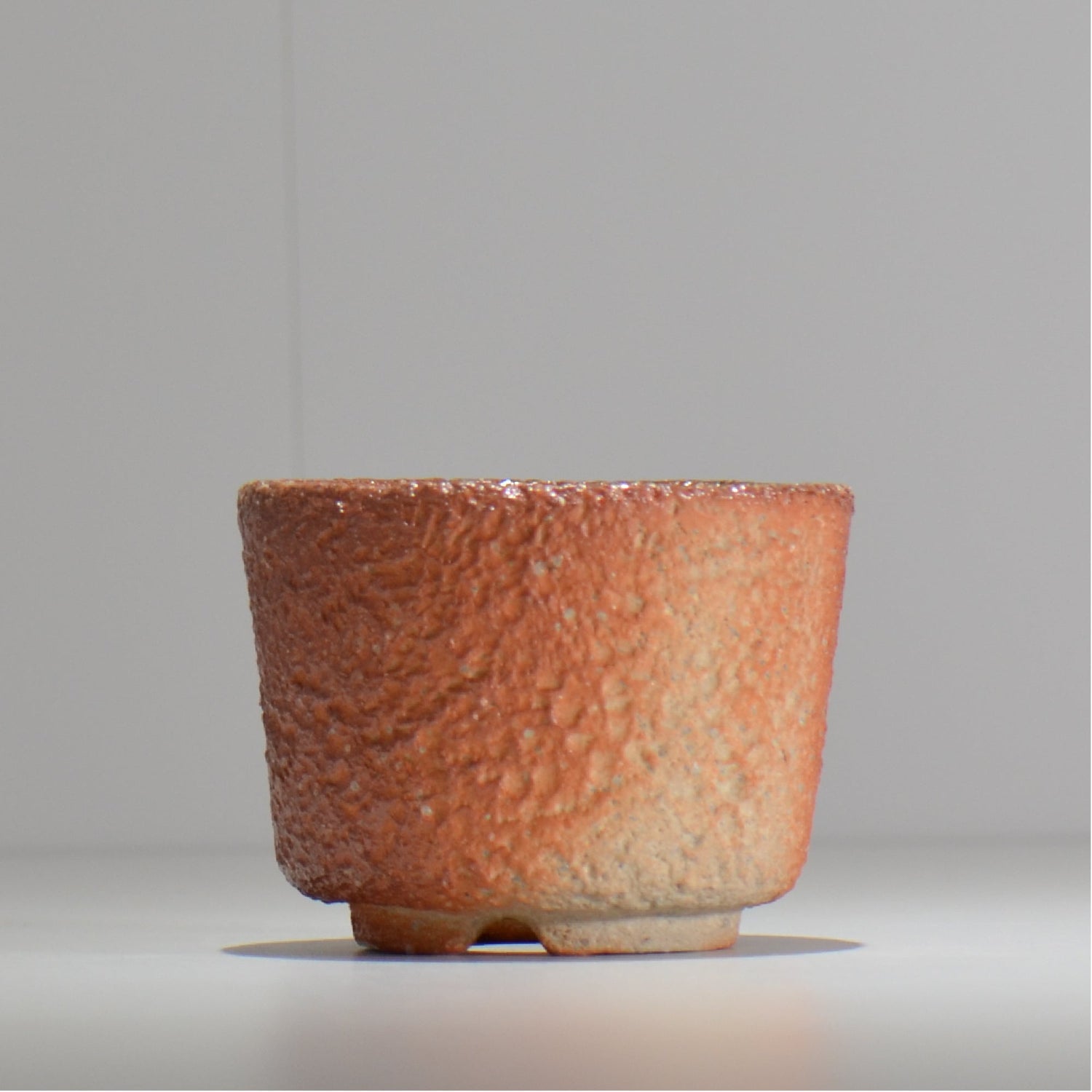 坂尾寛子 / 礁 / 約φ11cm  / sh_an04_s /   植木鉢