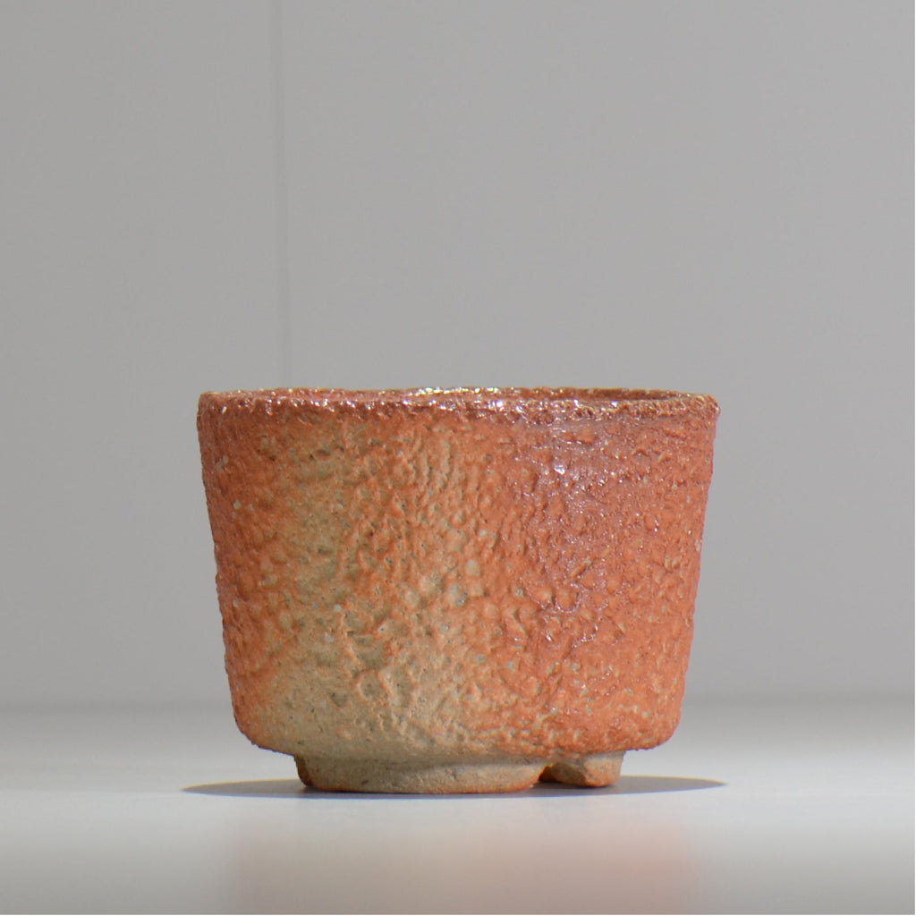 坂尾寛子 / 礁 / 約φ11cm  / sh_an04_s /   植木鉢