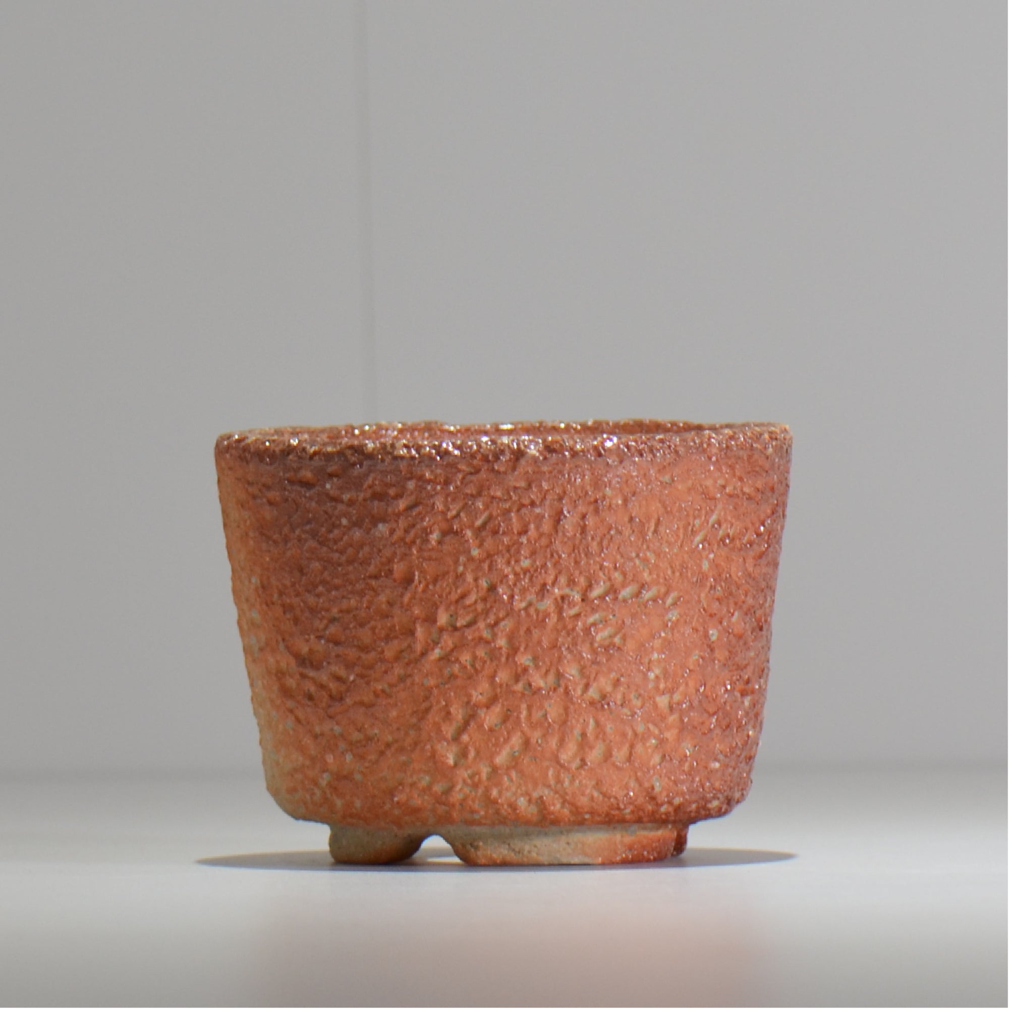 塊根植物・観葉植物の植木鉢専門店 「HACHILABO - ハチラボ- 」