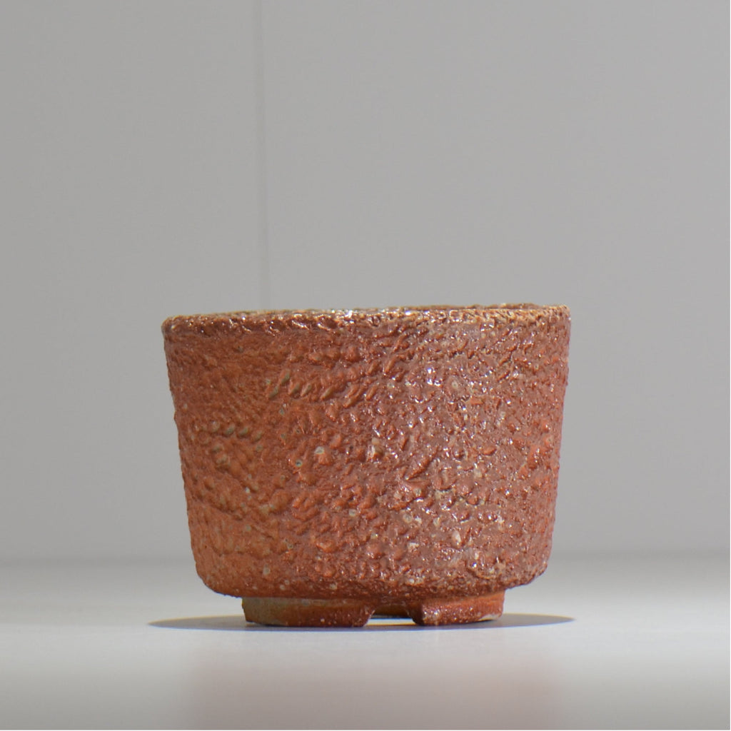 坂尾寛子 / 礁 / 約φ11cm  / sh_an04_s /   植木鉢