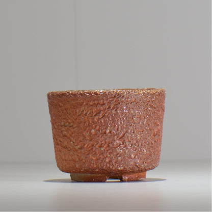 坂尾寛子 / 礁 / 約φ11cm  / sh_an04_s /   植木鉢