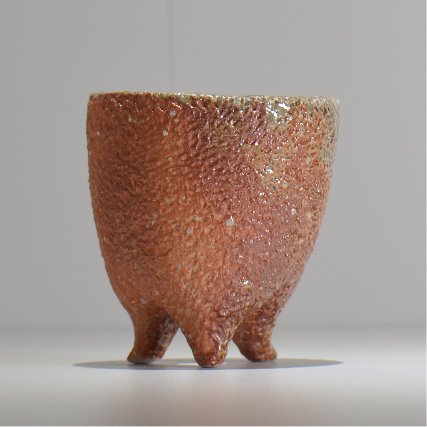 坂尾寛子 / 礁 / 約φ12cm  / sh_an05_s /  植木鉢