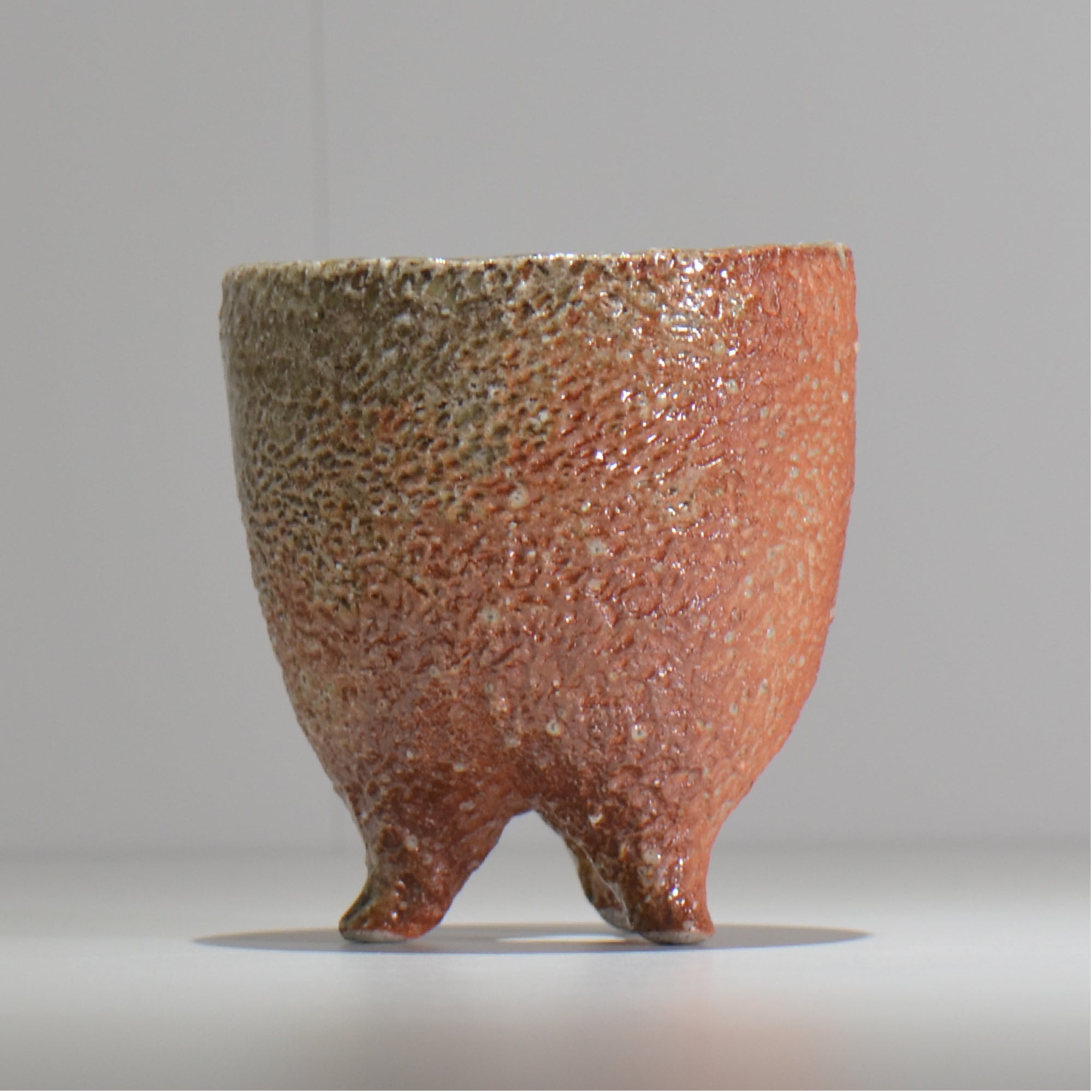 坂尾寛子 / 礁 / 約φ12cm  / sh_an05_s /  植木鉢