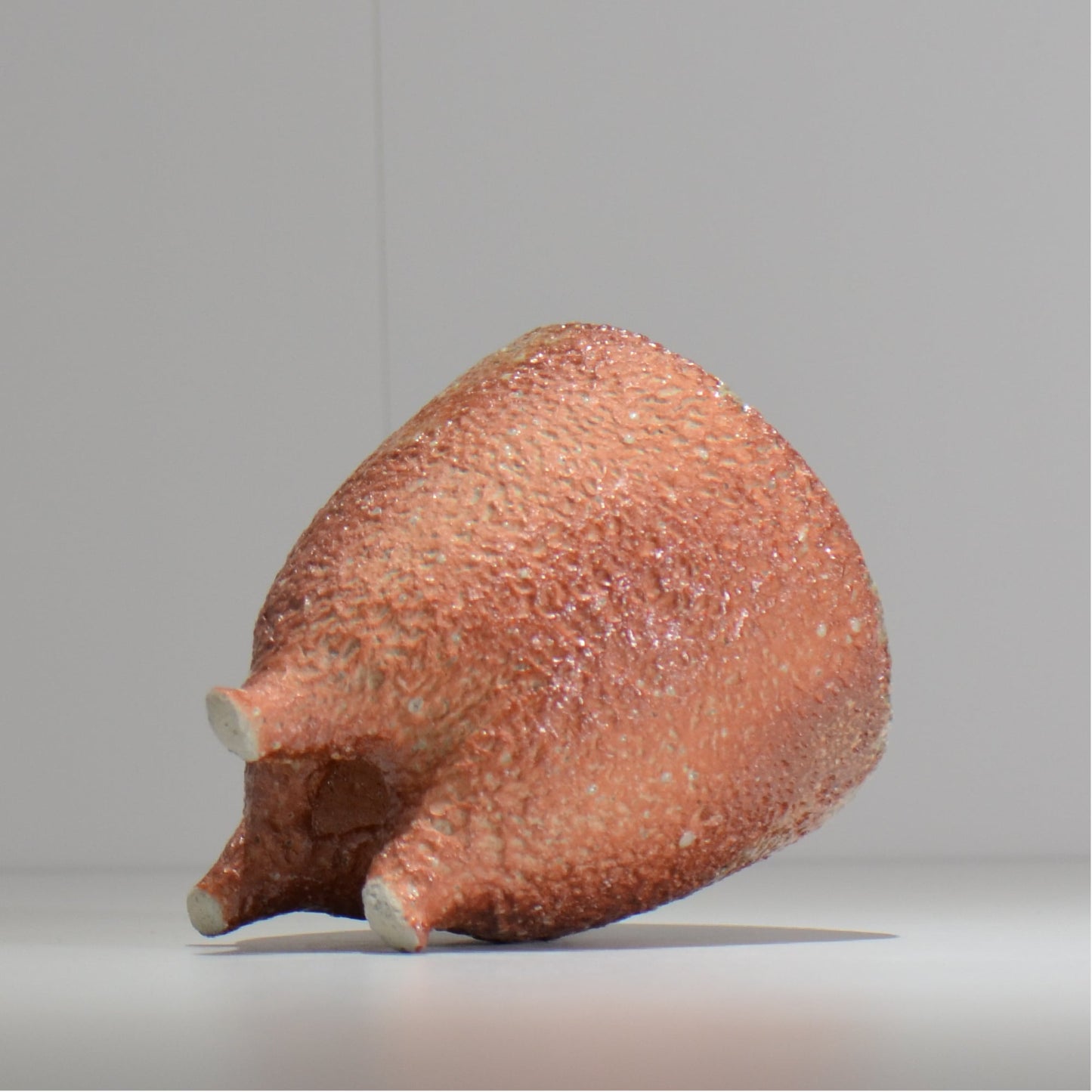 坂尾寛子 / 礁 / 約φ12cm  / sh_an05_s /  植木鉢