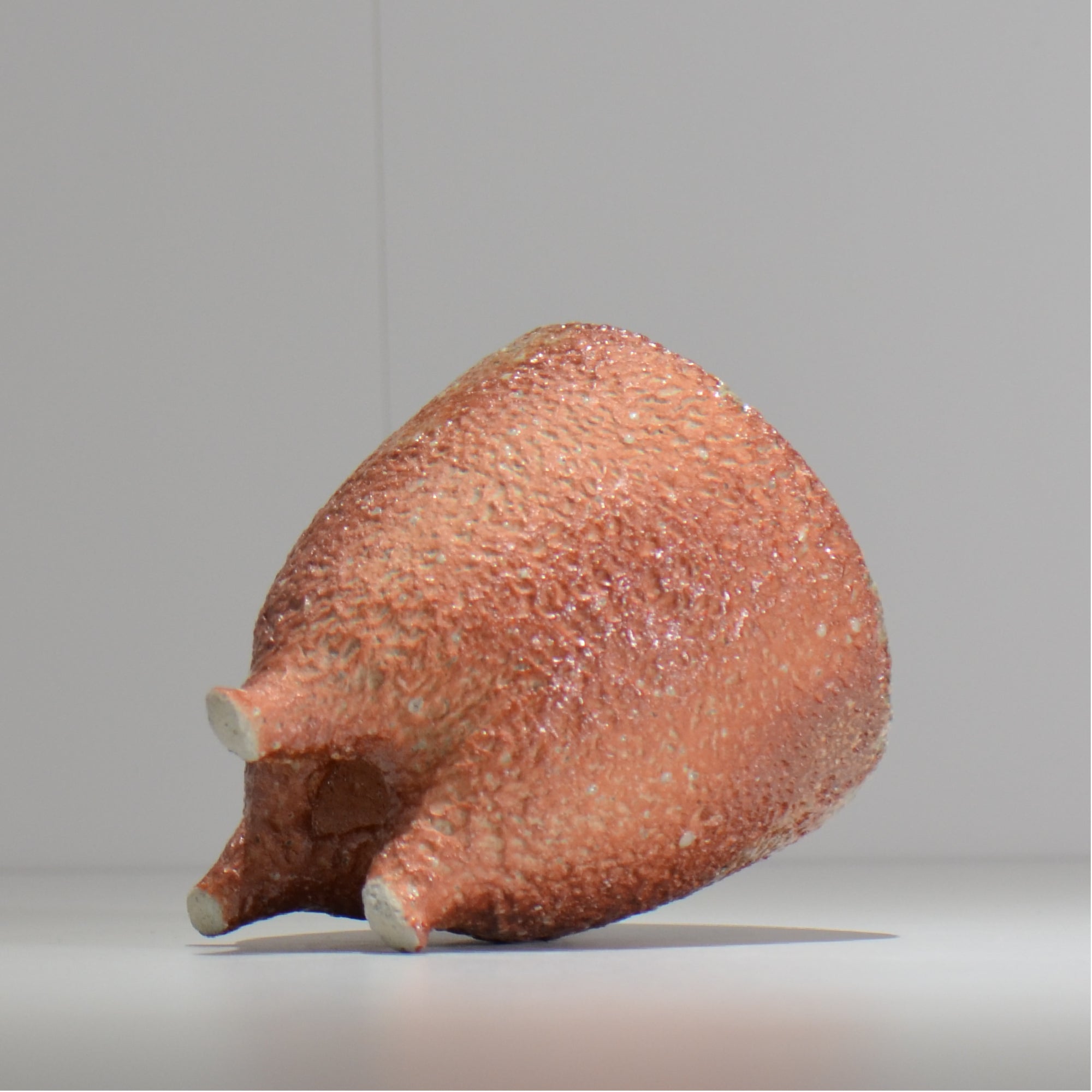 坂尾寛子 / 礁 / 約φ12cm  / sh_an05_s /  植木鉢