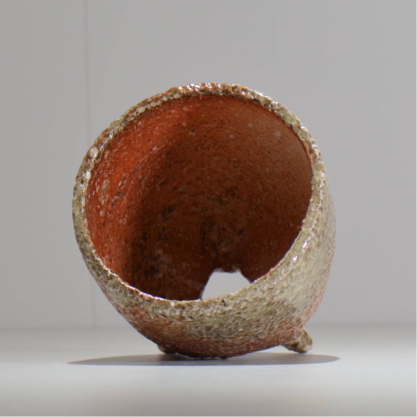 坂尾寛子 / 礁 / 約φ12cm  / sh_an05_s /  植木鉢