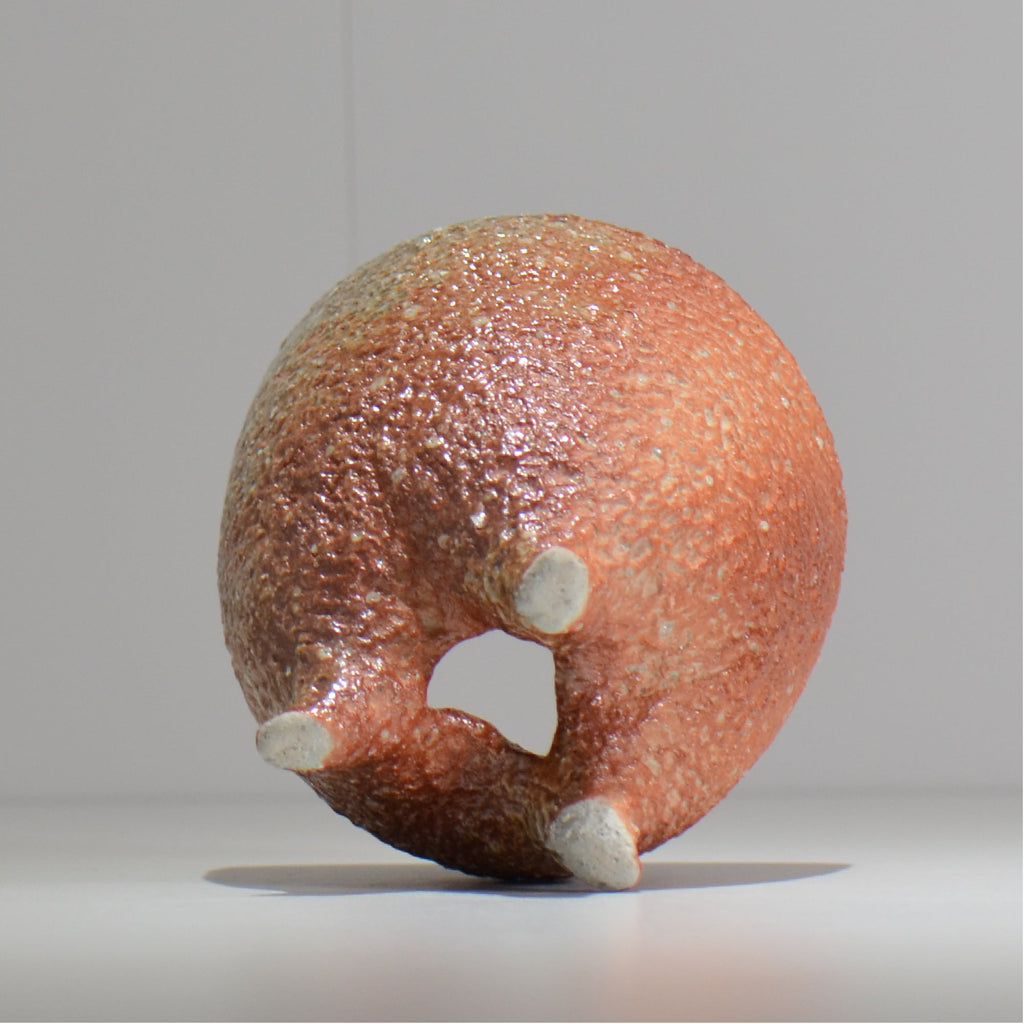 坂尾寛子 / 礁 / 約φ12cm  / sh_an05_s /  植木鉢