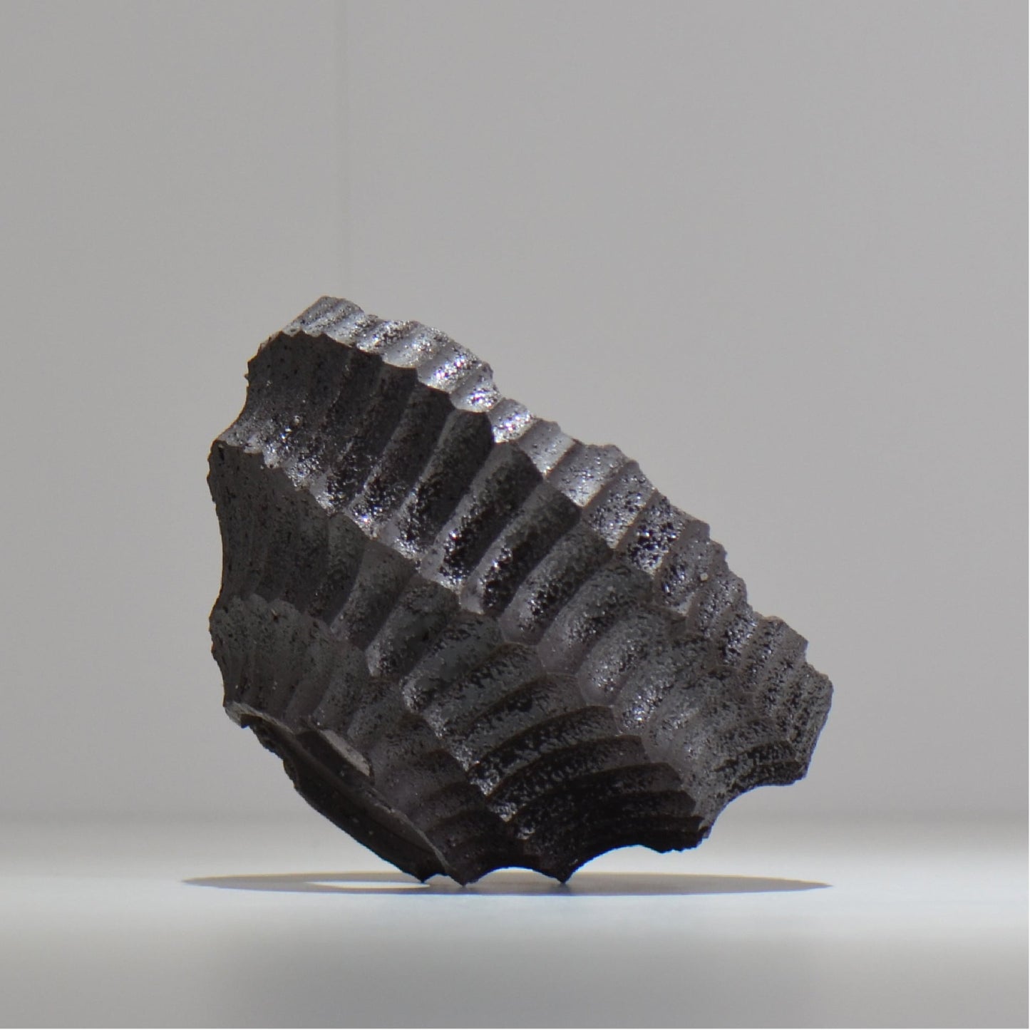 松井邦明 /  鎬  / shinogi_03_M / 約 13.5cm / 植木鉢