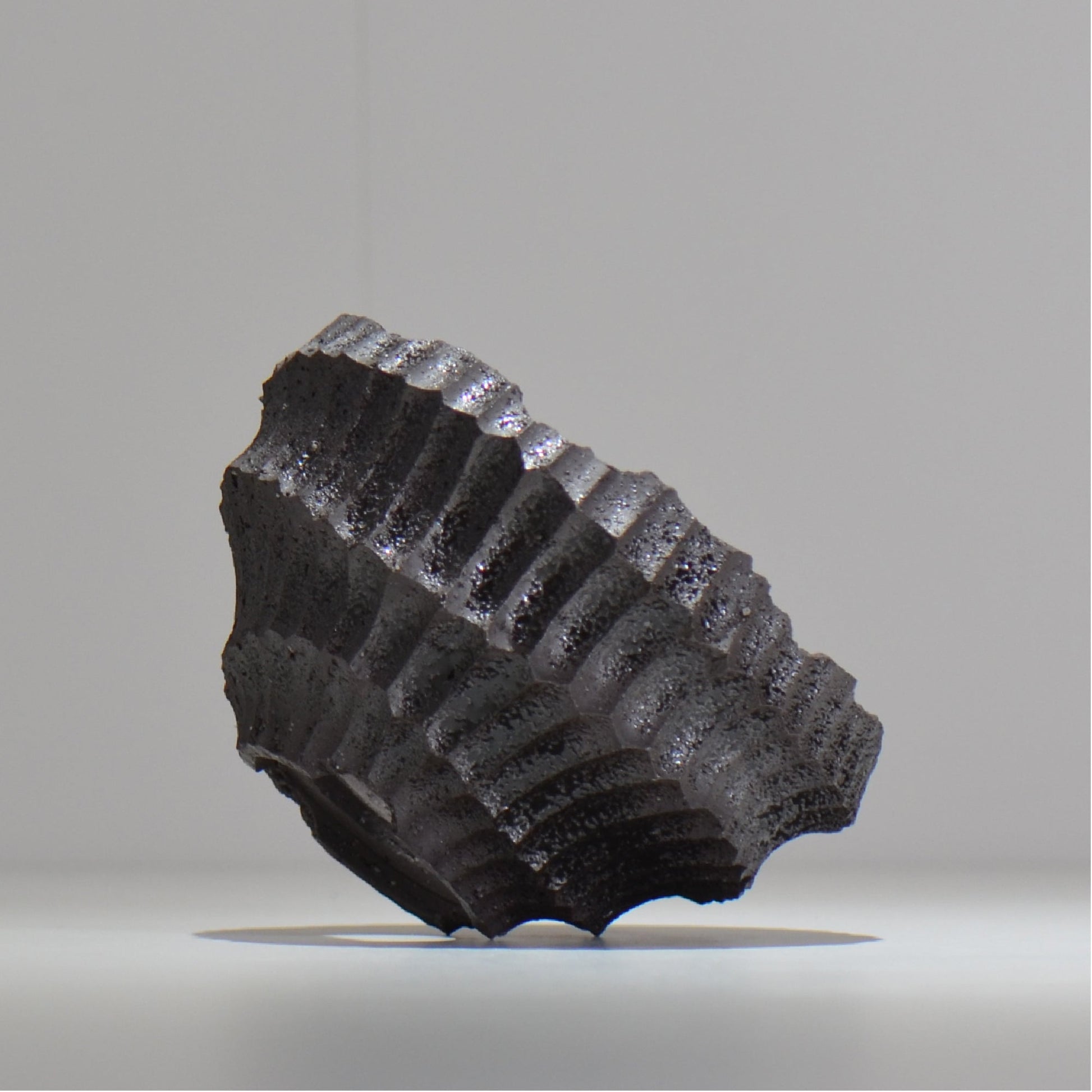 松井邦明 /  鎬  / shinogi_03_M / 約 13.5cm / 植木鉢