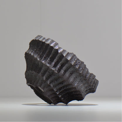 松井邦明 /  鎬  / shinogi_03_M / 約 13.5cm / 植木鉢