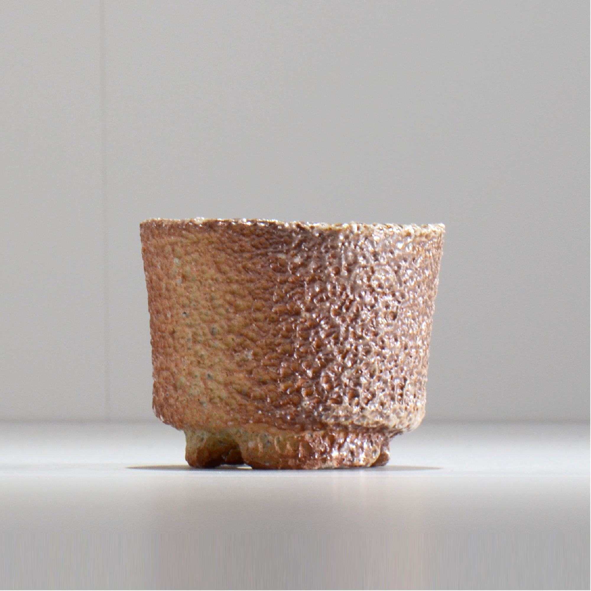 坂尾寛子 / 礁 / 約φ9.5cm / 植木鉢