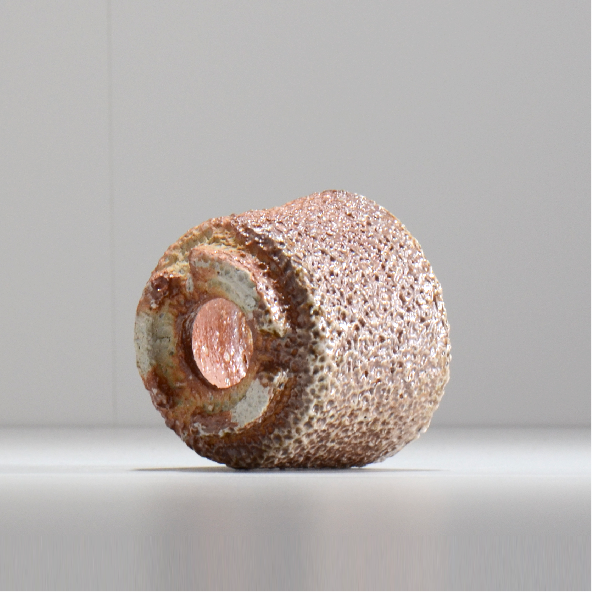 坂尾寛子 / 礁 / 約φ9.5cm / 植木鉢