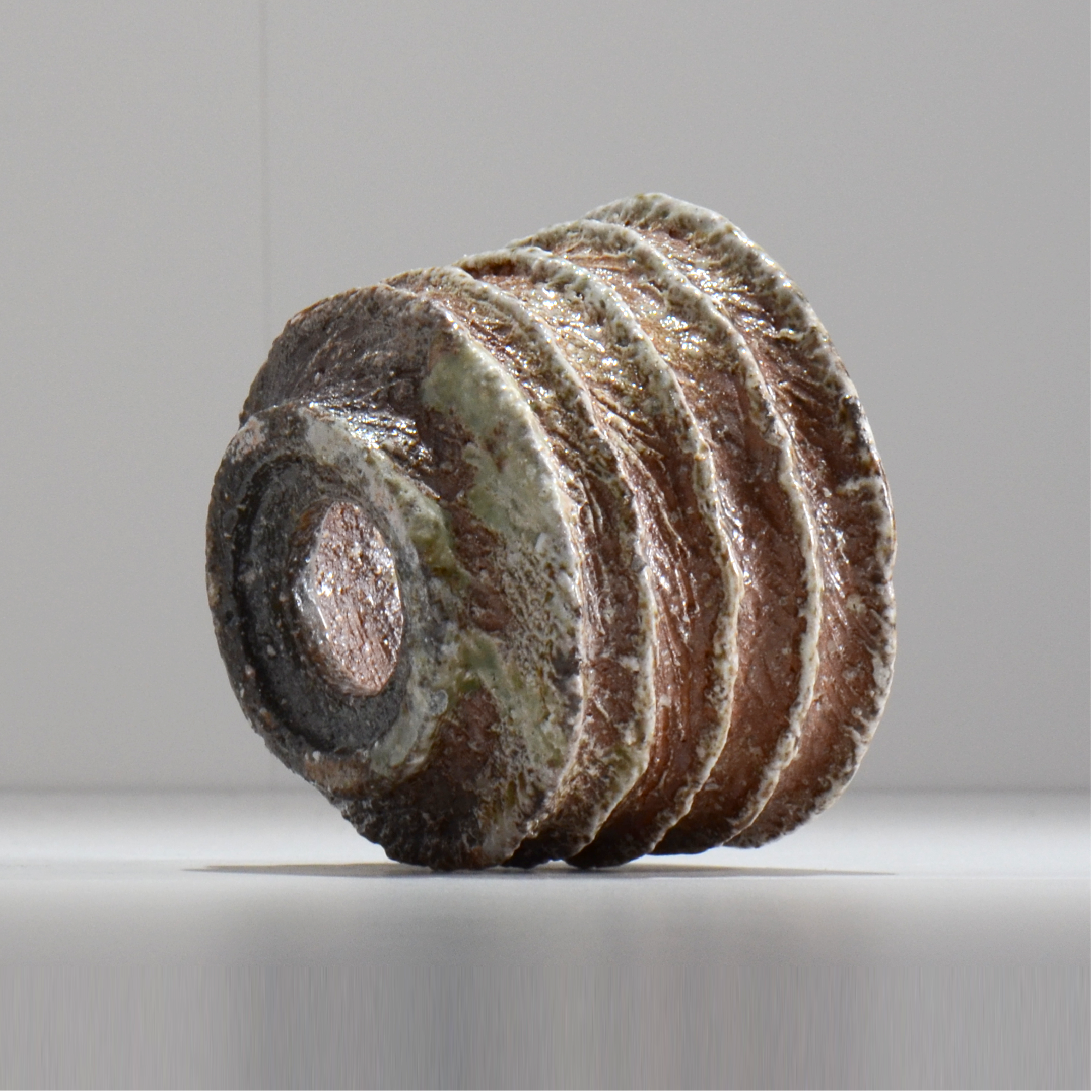 坂尾寛子 / 礁 / 約φ13cm / 植木鉢