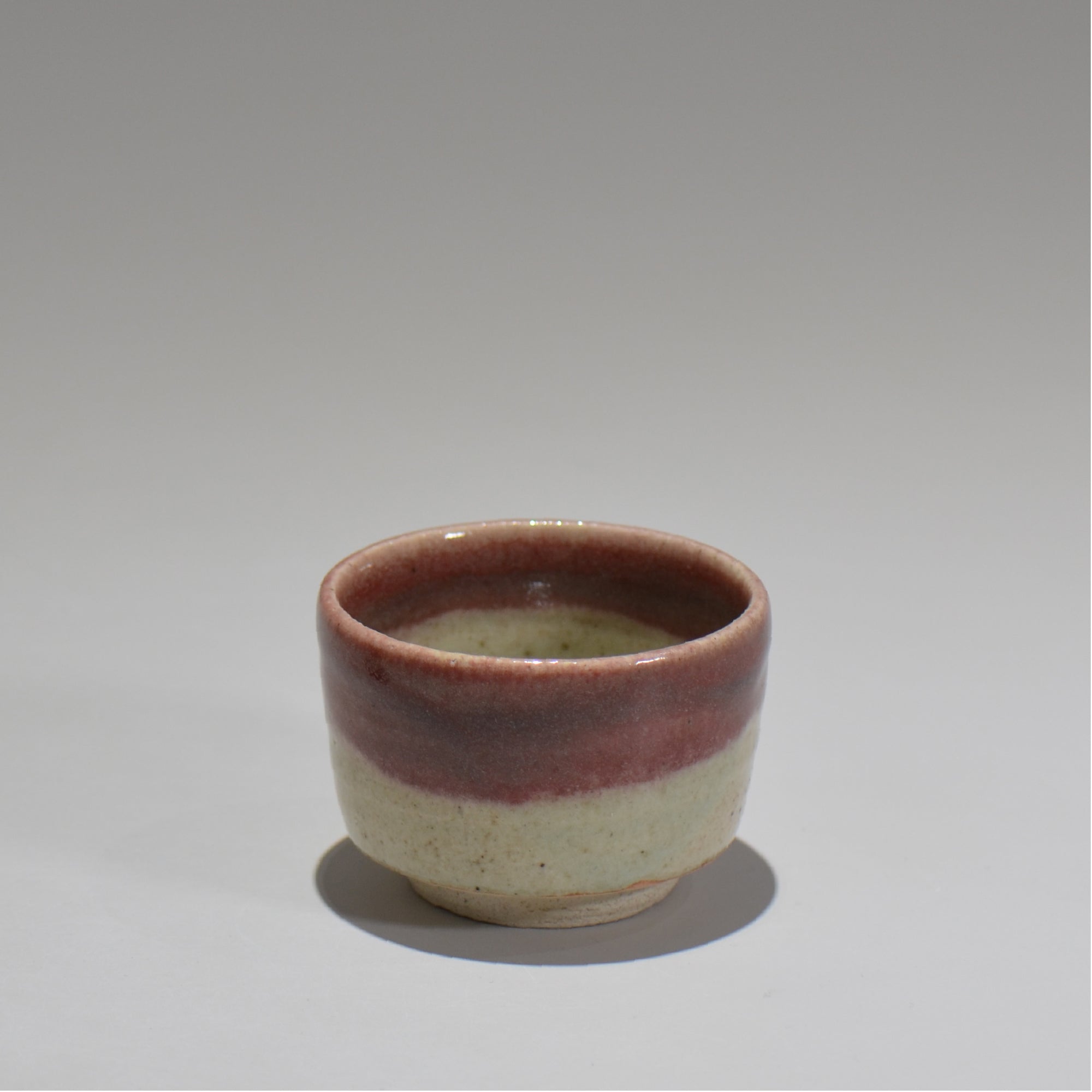 塊根植物・観葉植物の植木鉢専門店 「HACHILABO - ハチラボ- 」