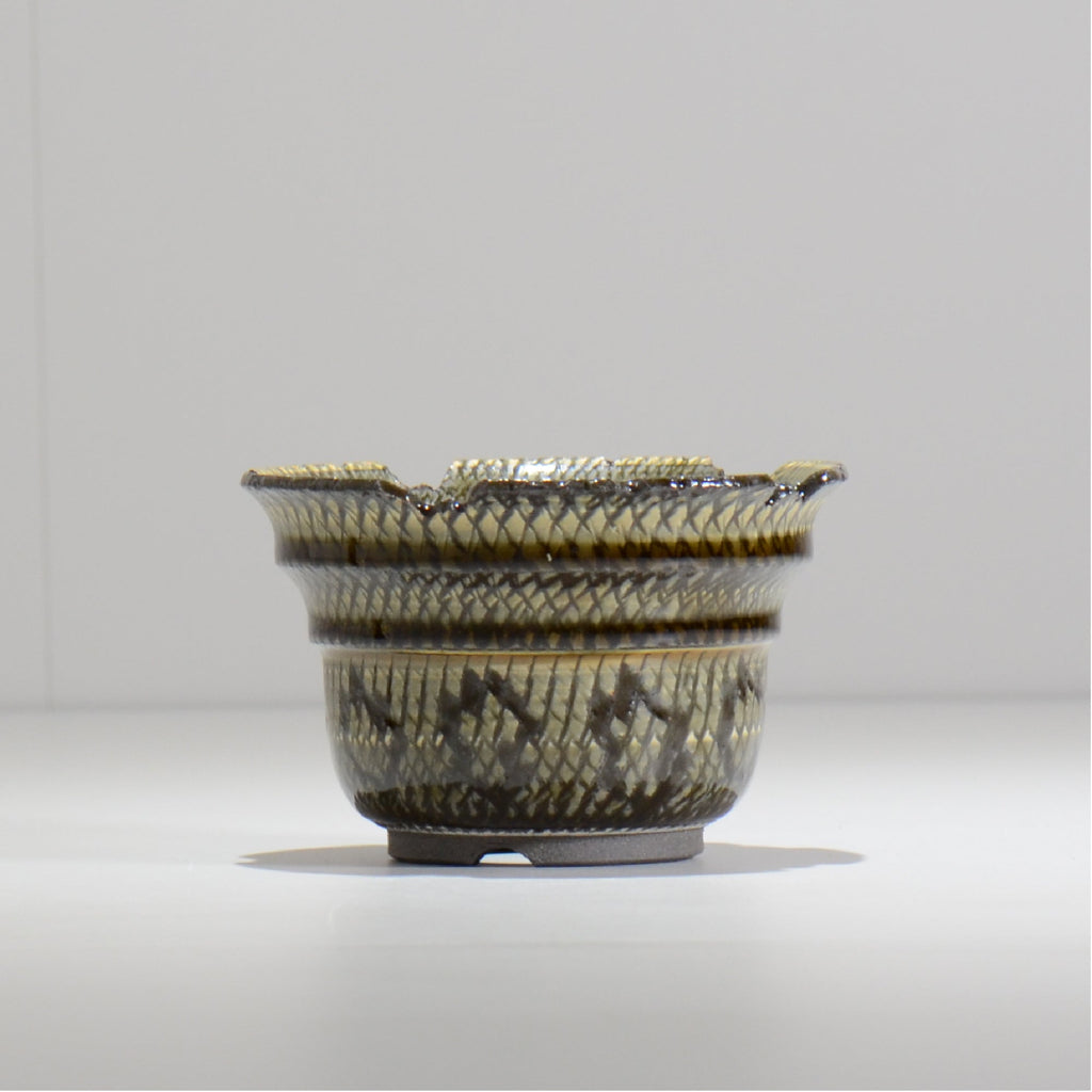 仲田唯希人 / SNAKE02 03/ 約φ11.5cm / 植木鉢