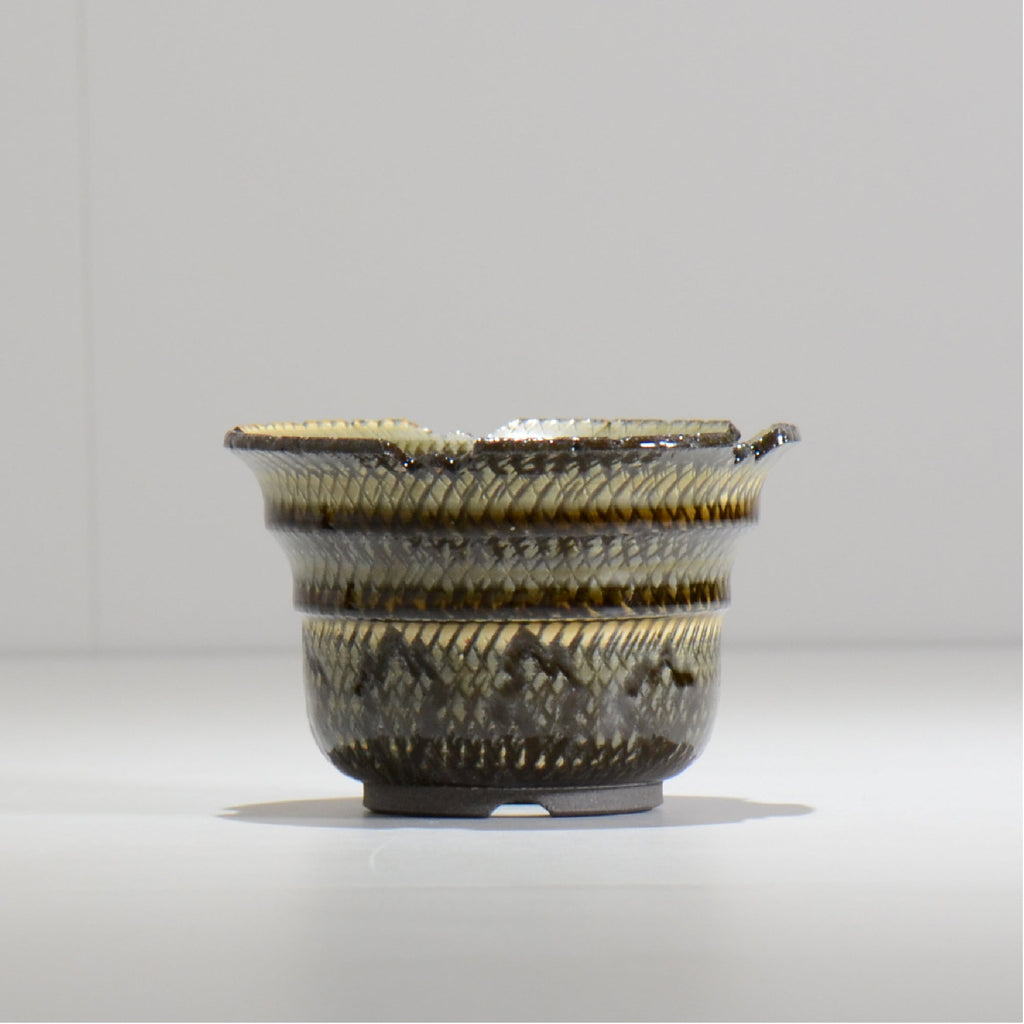 仲田唯希人 / SNAKE02 04/ 約φ11cm / 植木鉢