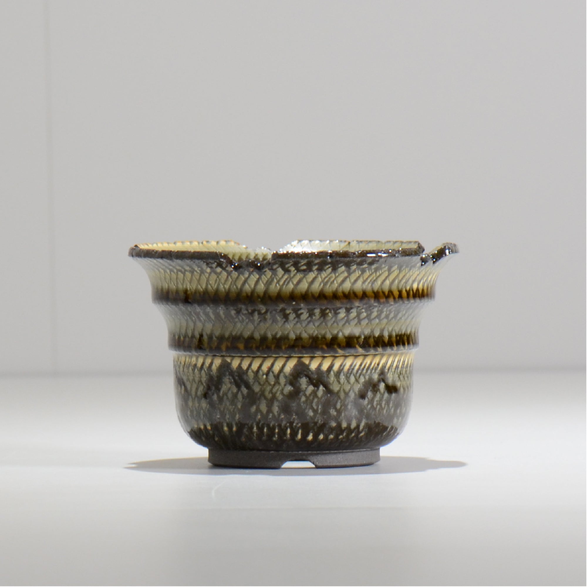 仲田唯希人 / SNAKE02 04/ 約φ11cm / 植木鉢