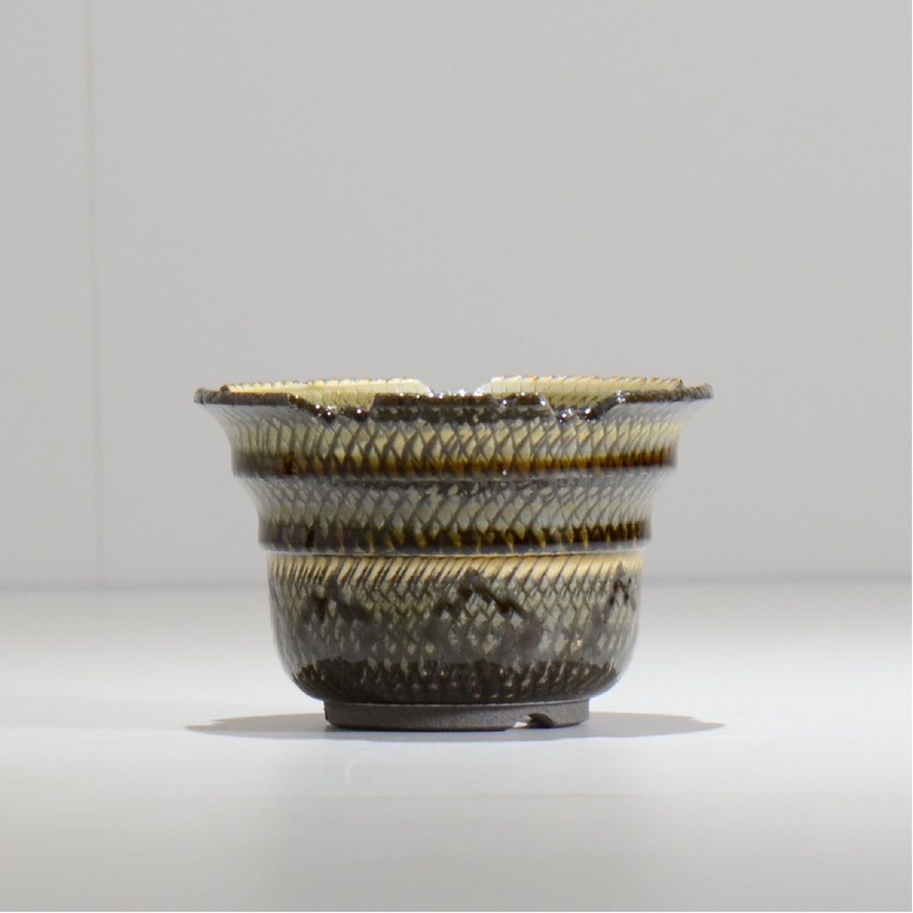 仲田唯希人 / SNAKE02 04/ 約φ11cm / 植木鉢
