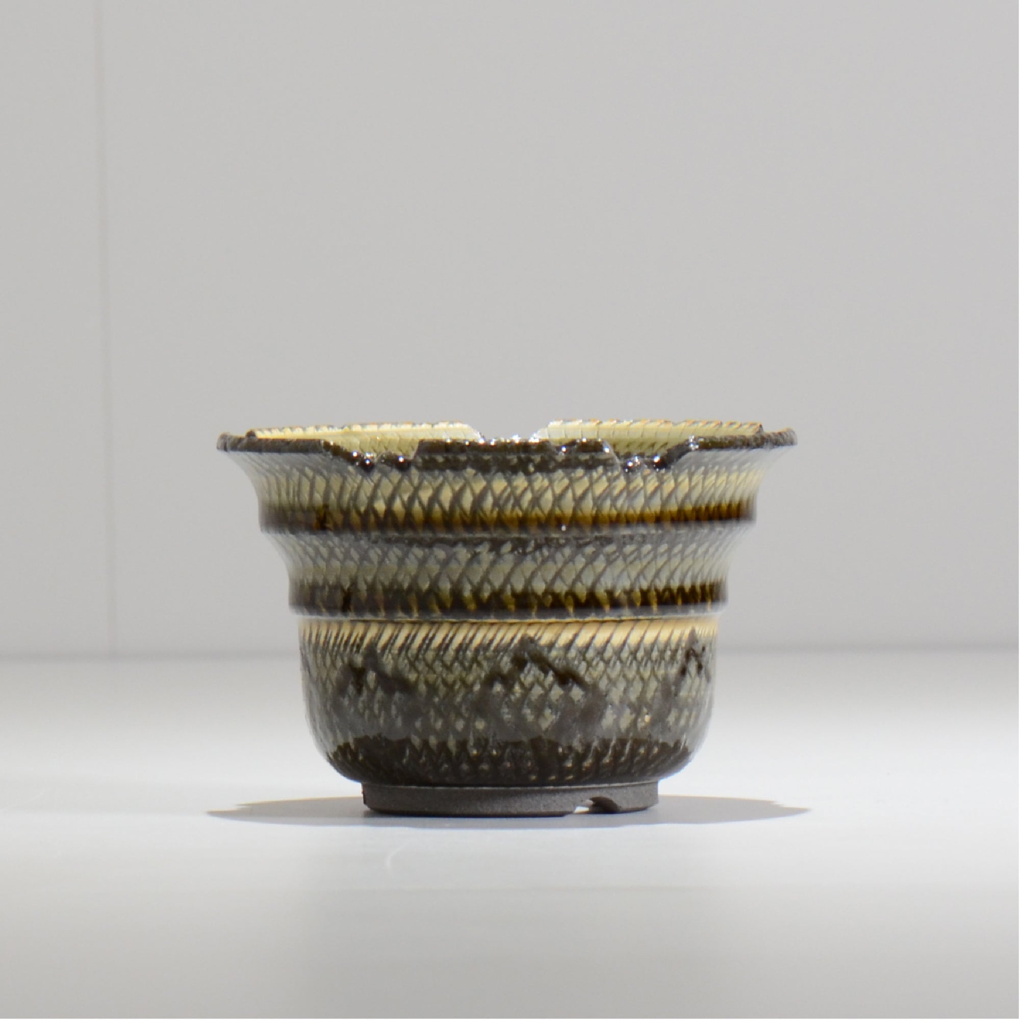 仲田唯希人 / SNAKE02 04/ 約φ11cm / 植木鉢