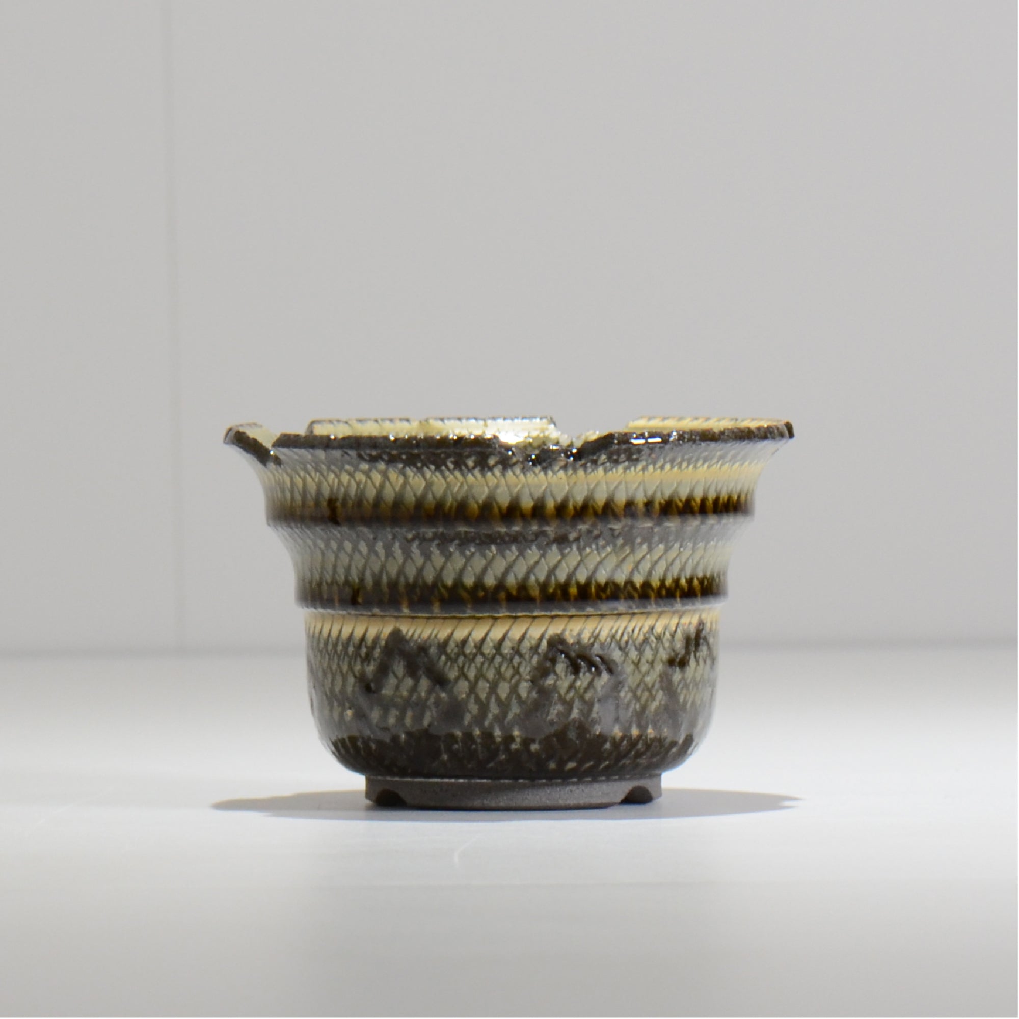 仲田唯希人 / SNAKE02 04/ 約φ11cm / 植木鉢
