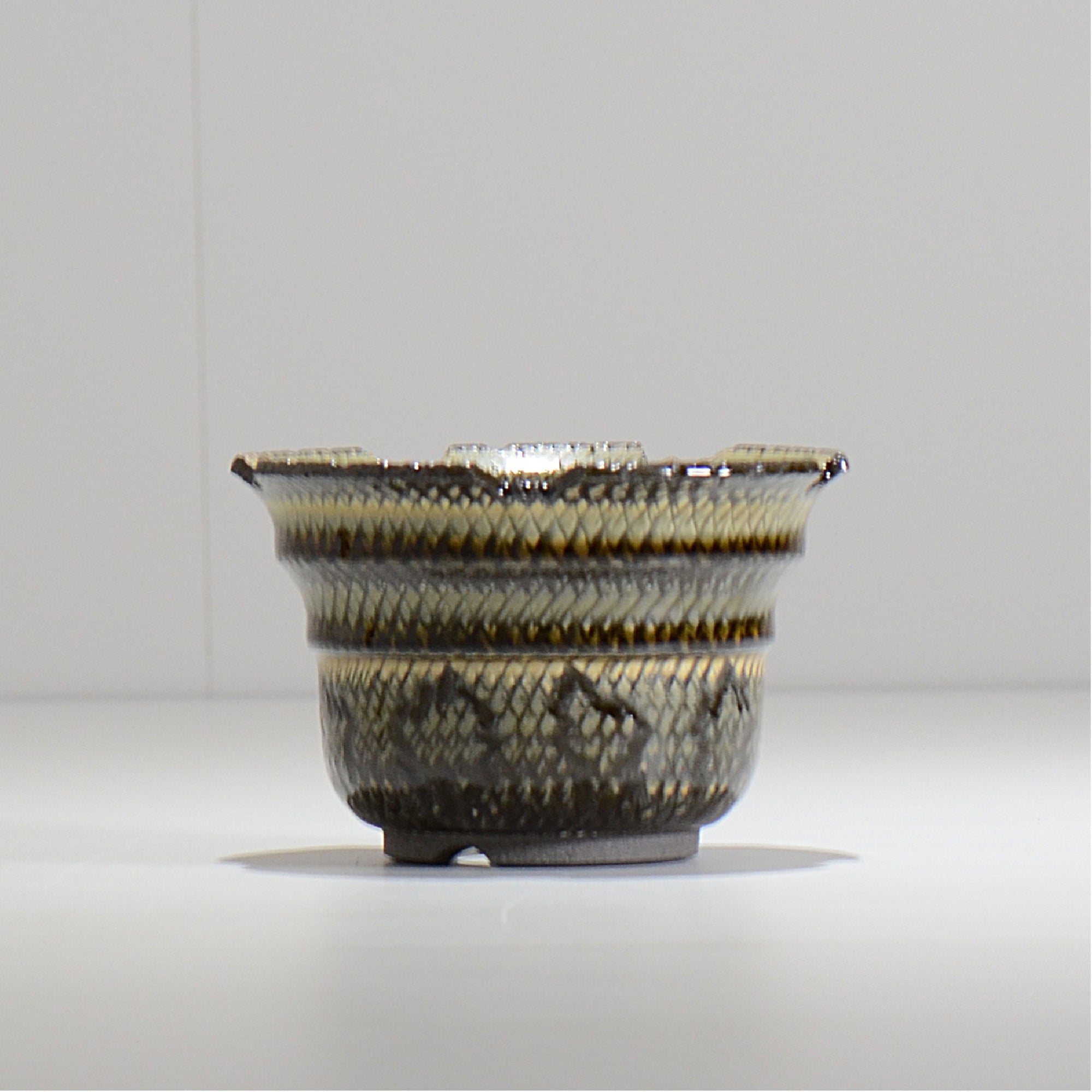 仲田唯希人 / SNAKE02 04/ 約φ11cm / 植木鉢