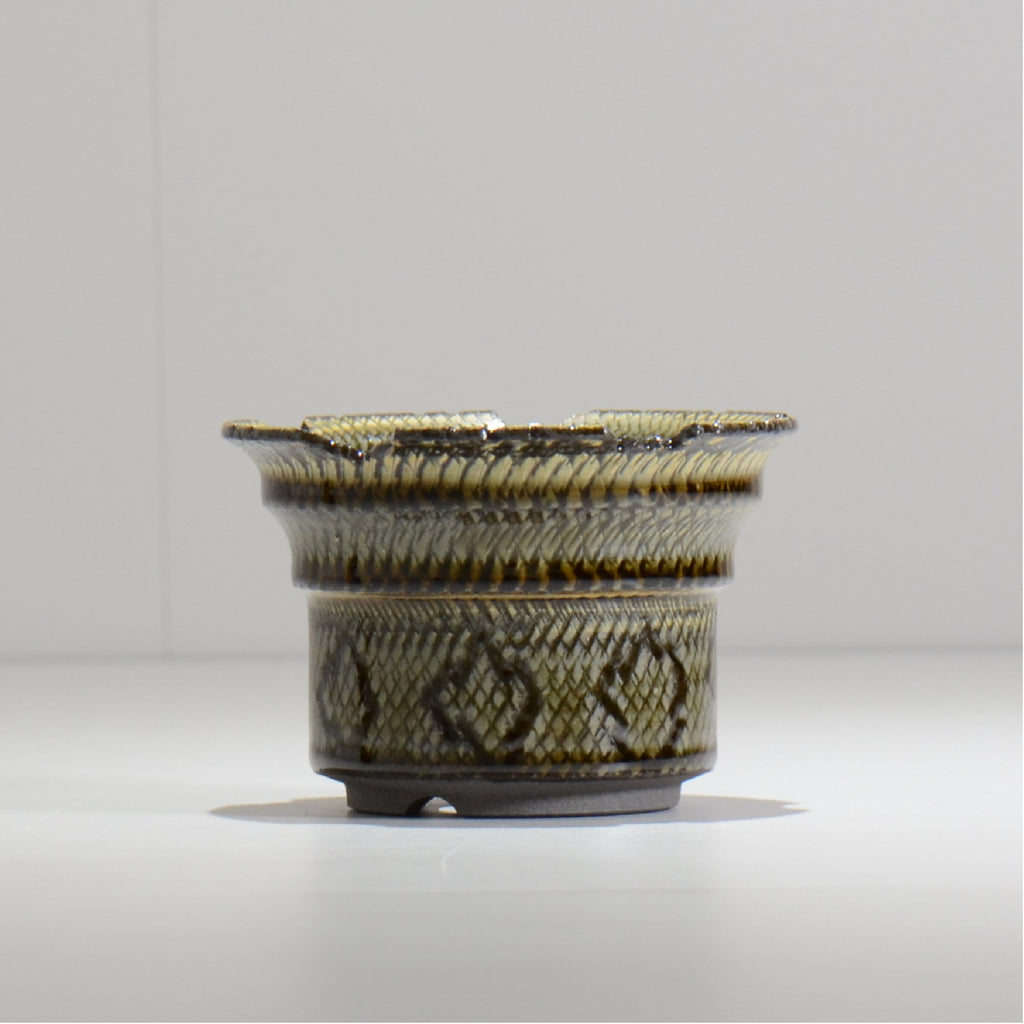 仲田唯希人 / SNAKE02 05/ 約φ11cm / 植木鉢