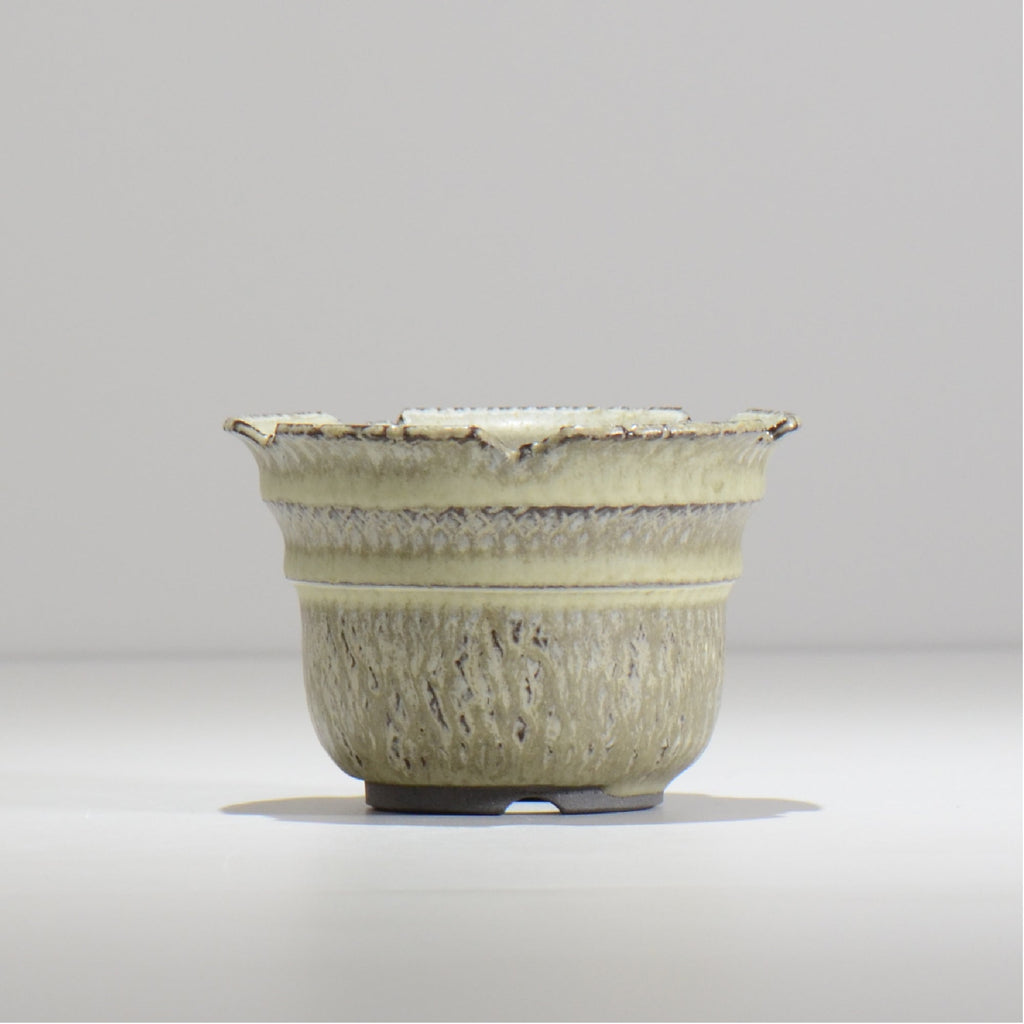 仲田唯希人 / SNAKE02 06/ 約φ11.1cm / 植木鉢