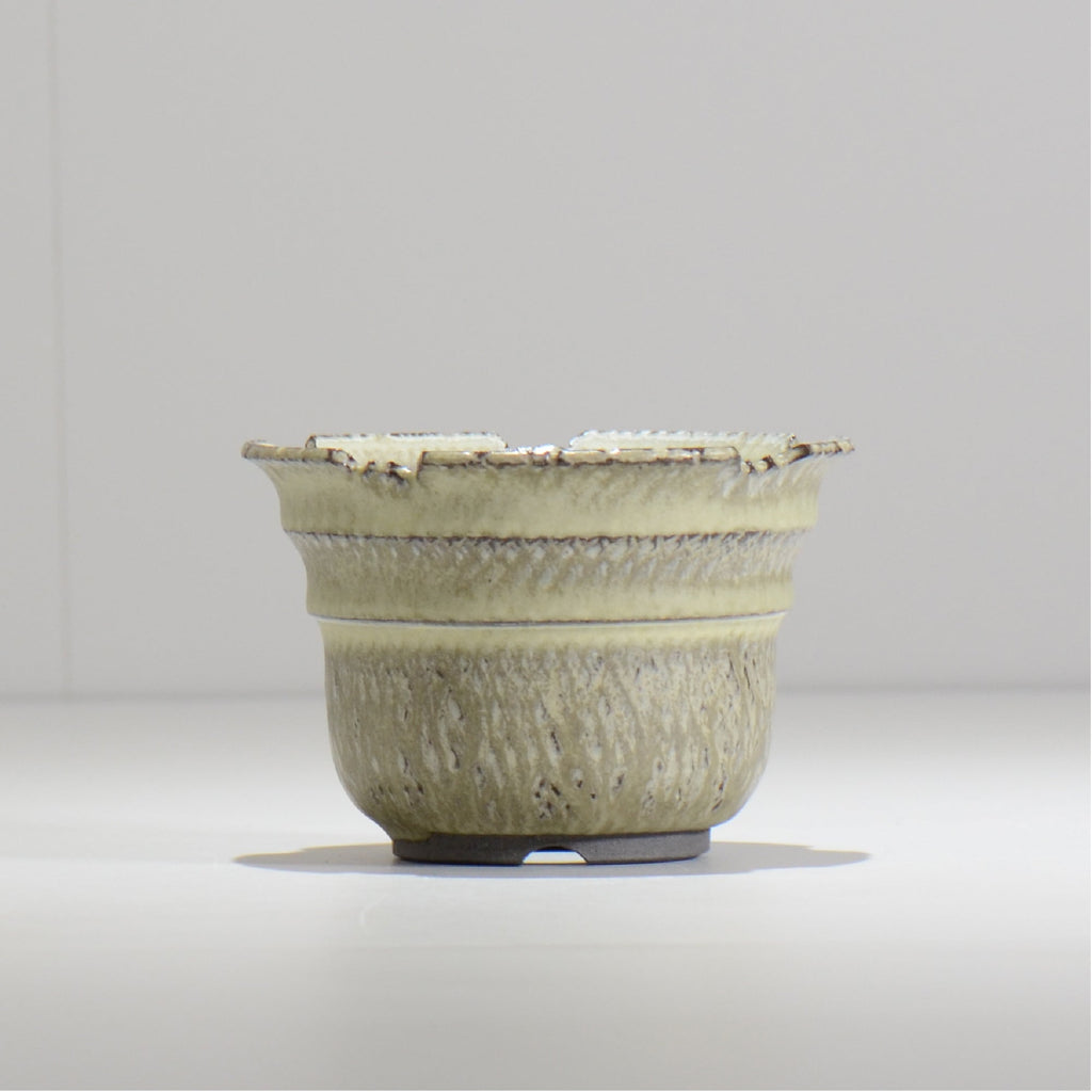 仲田唯希人 / SNAKE02 06/ 約φ11.1cm / 植木鉢