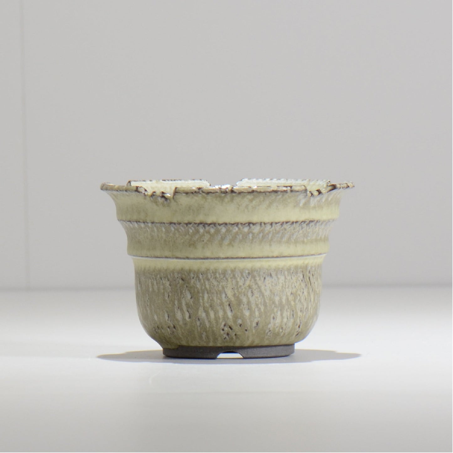 仲田唯希人 / SNAKE02 06/ 約φ11.1cm / 植木鉢