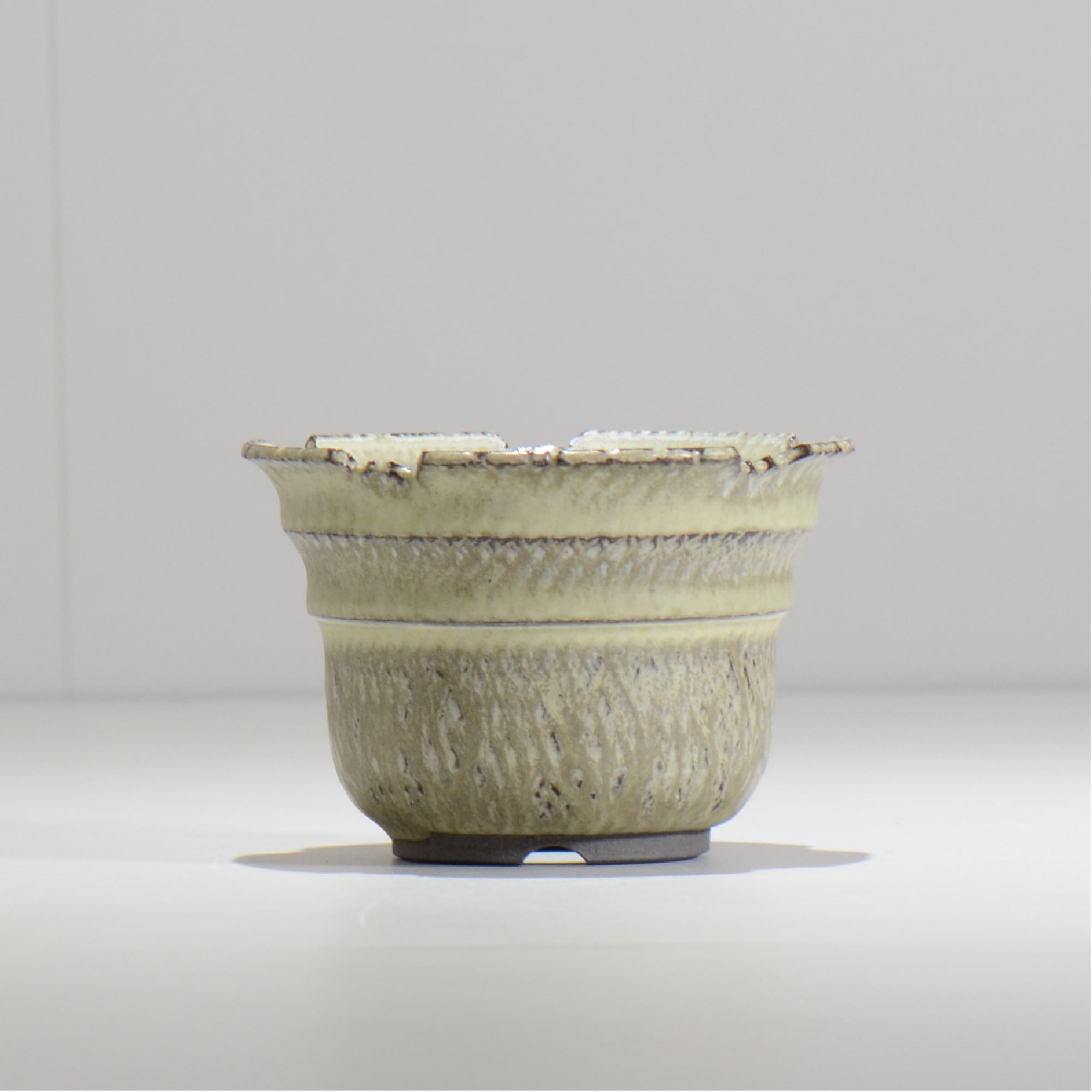 仲田唯希人 / SNAKE02 06/ 約φ11.1cm / 植木鉢