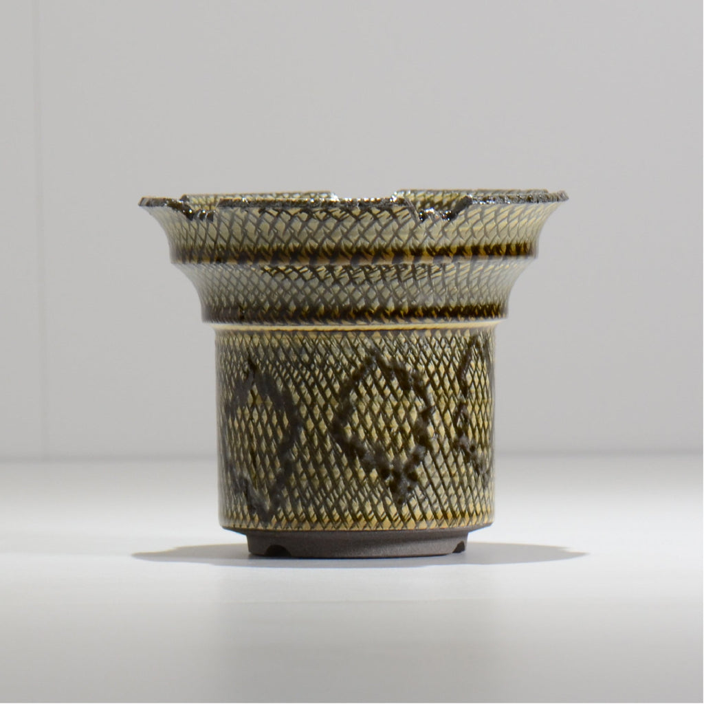 仲田唯希人 / SNAKE02 15/ 約φ13.4cm / 植木鉢