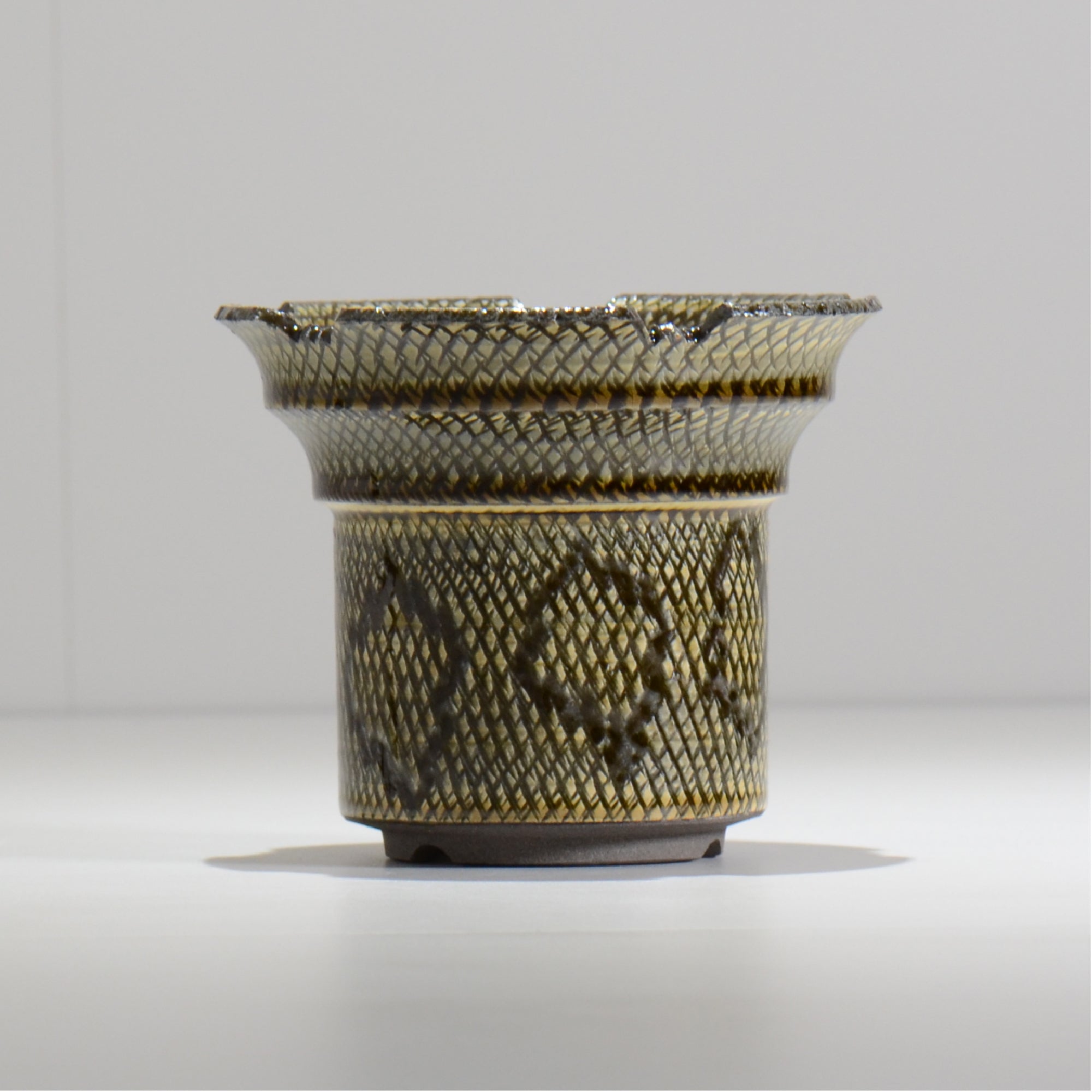 仲田唯希人 / SNAKE02 15/ 約φ13.4cm / 植木鉢