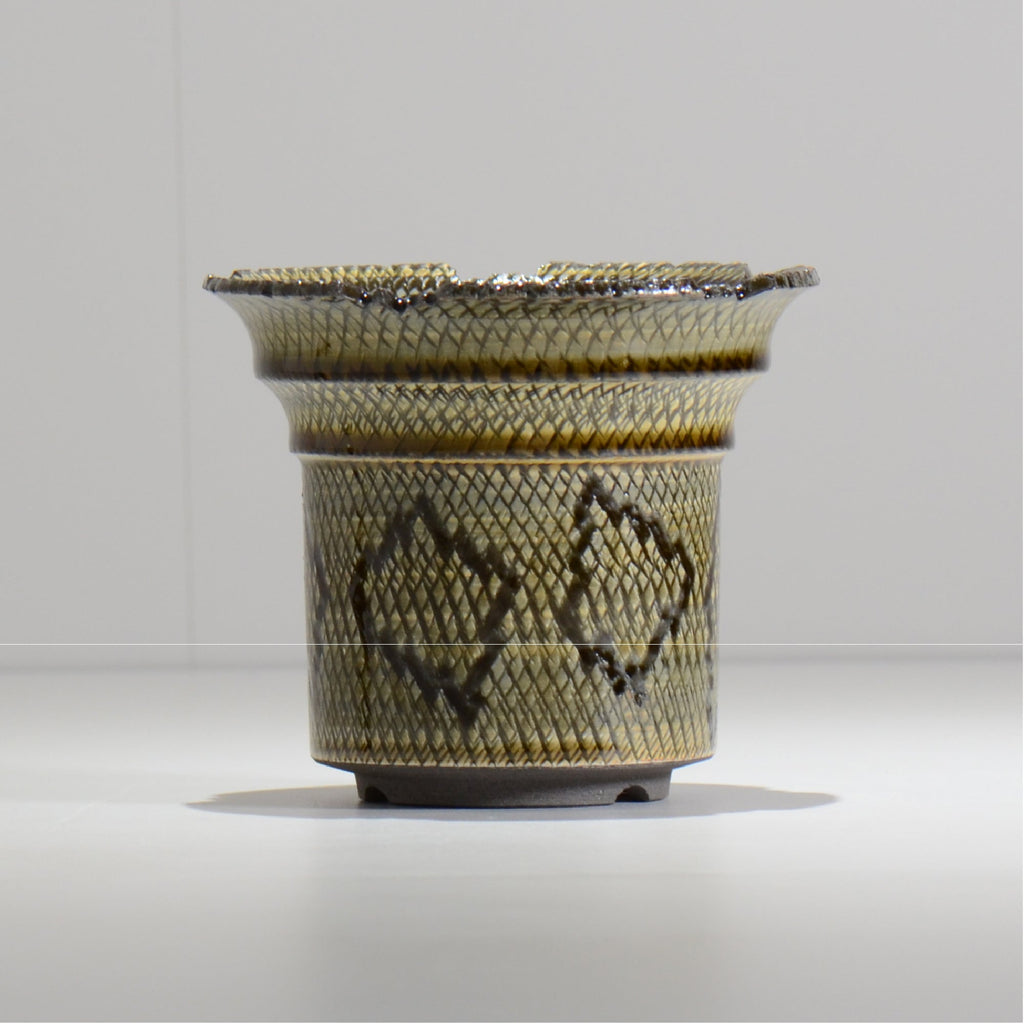 仲田唯希人 / SNAKE02 17/ 約φ13.3cm / 植木鉢
