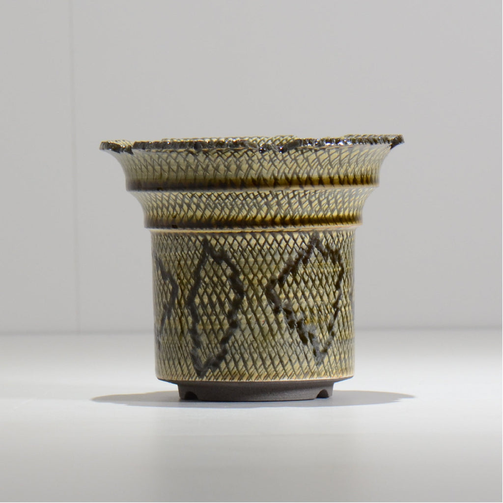 仲田唯希人 / SNAKE02 17/ 約φ13.3cm / 植木鉢