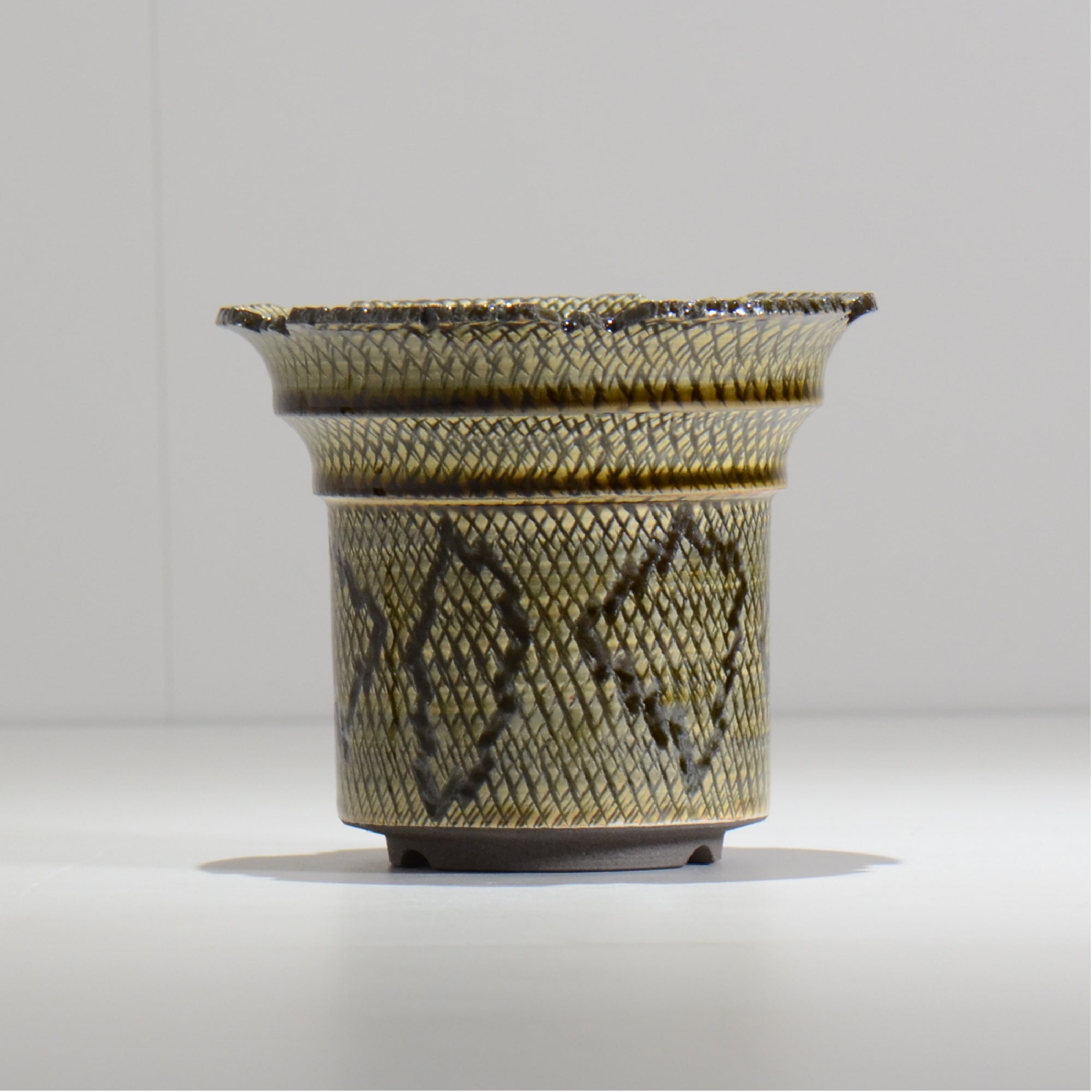 仲田唯希人 / SNAKE02 17/ 約φ13.3cm / 植木鉢